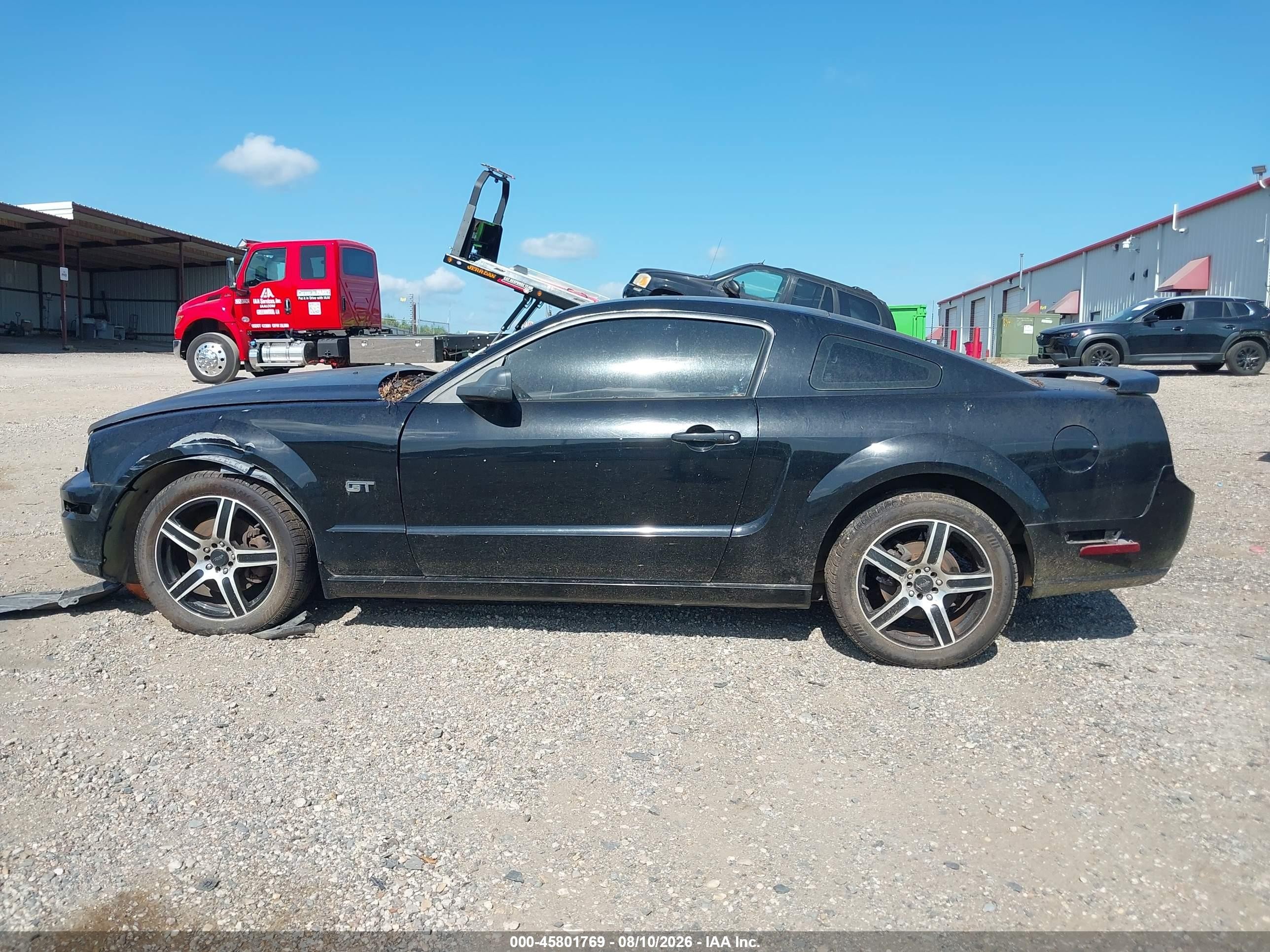 2006 Ford Mustang Gt Black vin: 1ZVFT82H365251607