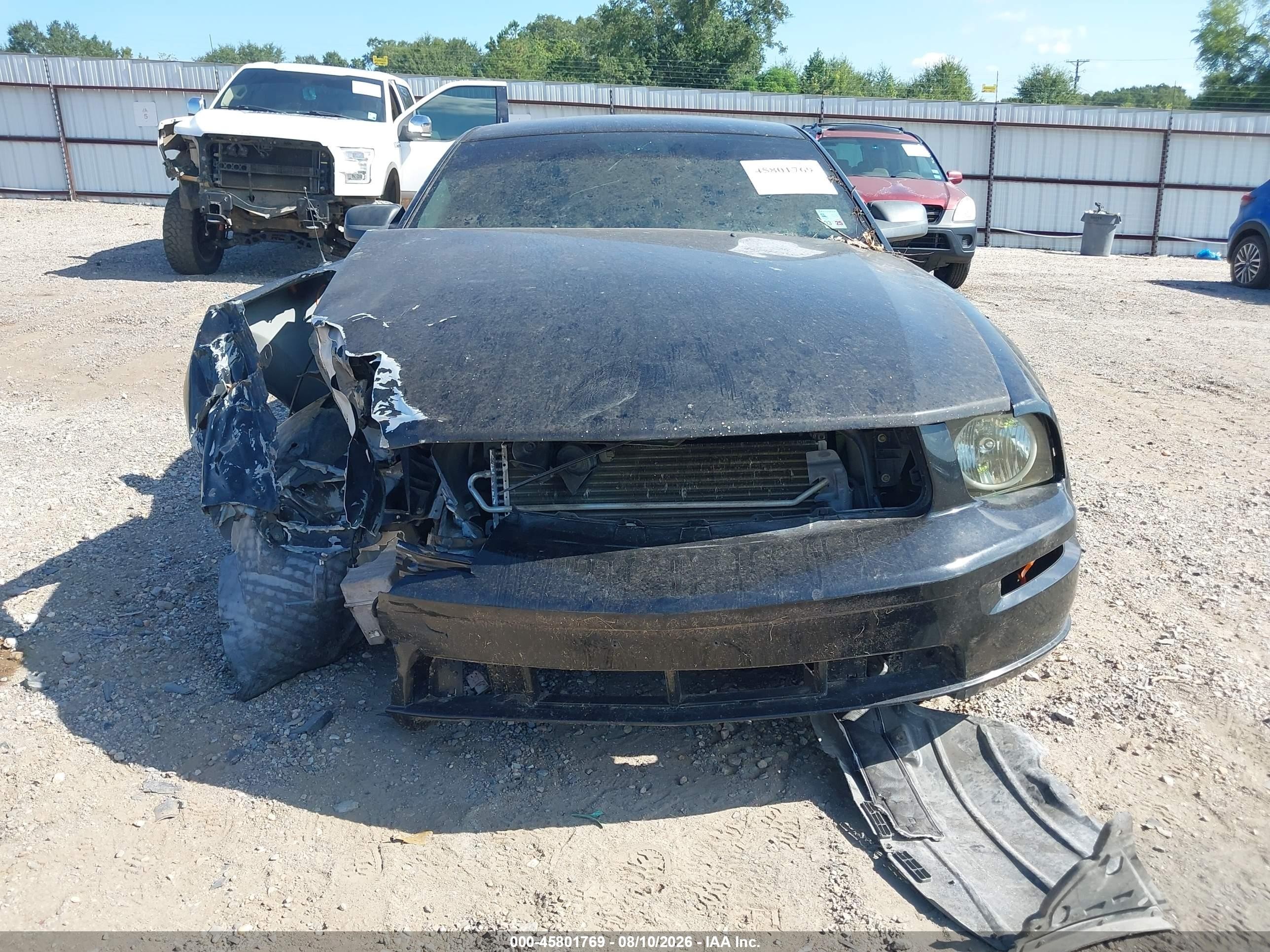 2006 Ford Mustang Gt Black vin: 1ZVFT82H365251607