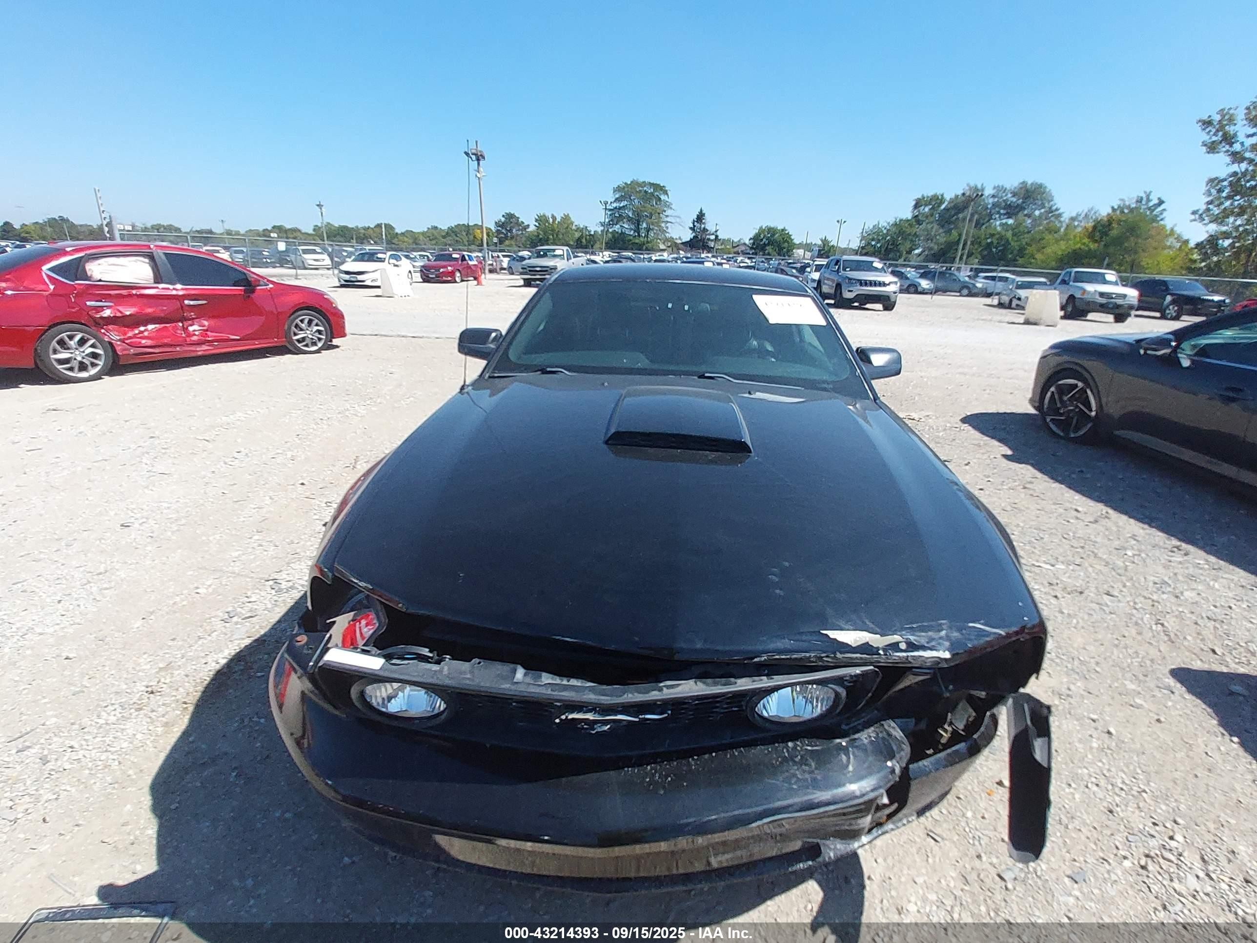2007 Ford Mustang Gt Deluxe/gt Premium Черный vin: 1ZVFT82H375336397