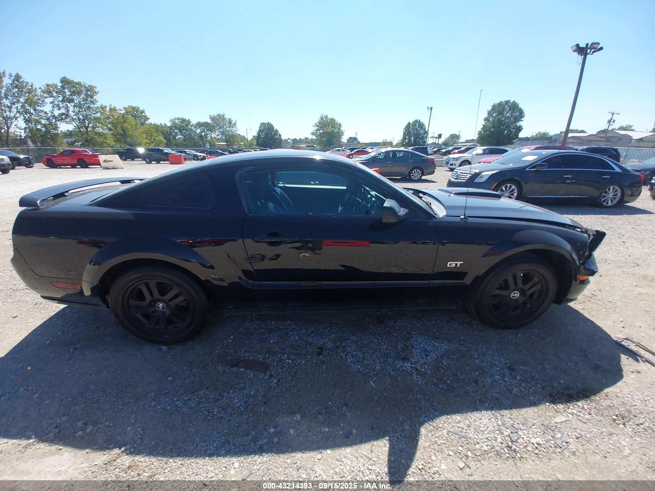 2007 Ford Mustang Gt Deluxe/gt Premium Черный vin: 1ZVFT82H375336397