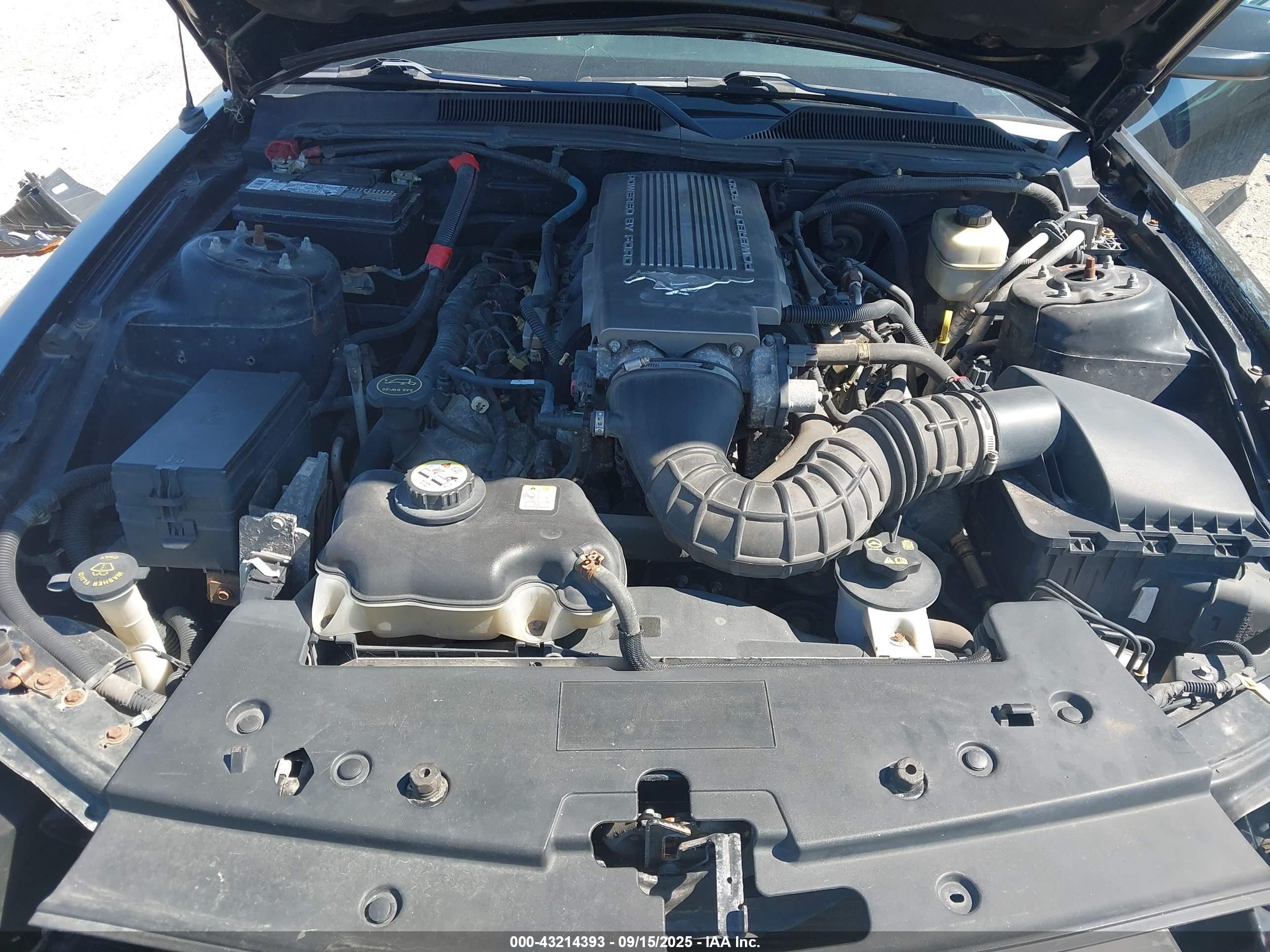 2007 Ford Mustang Gt Deluxe/gt Premium Черный vin: 1ZVFT82H375336397