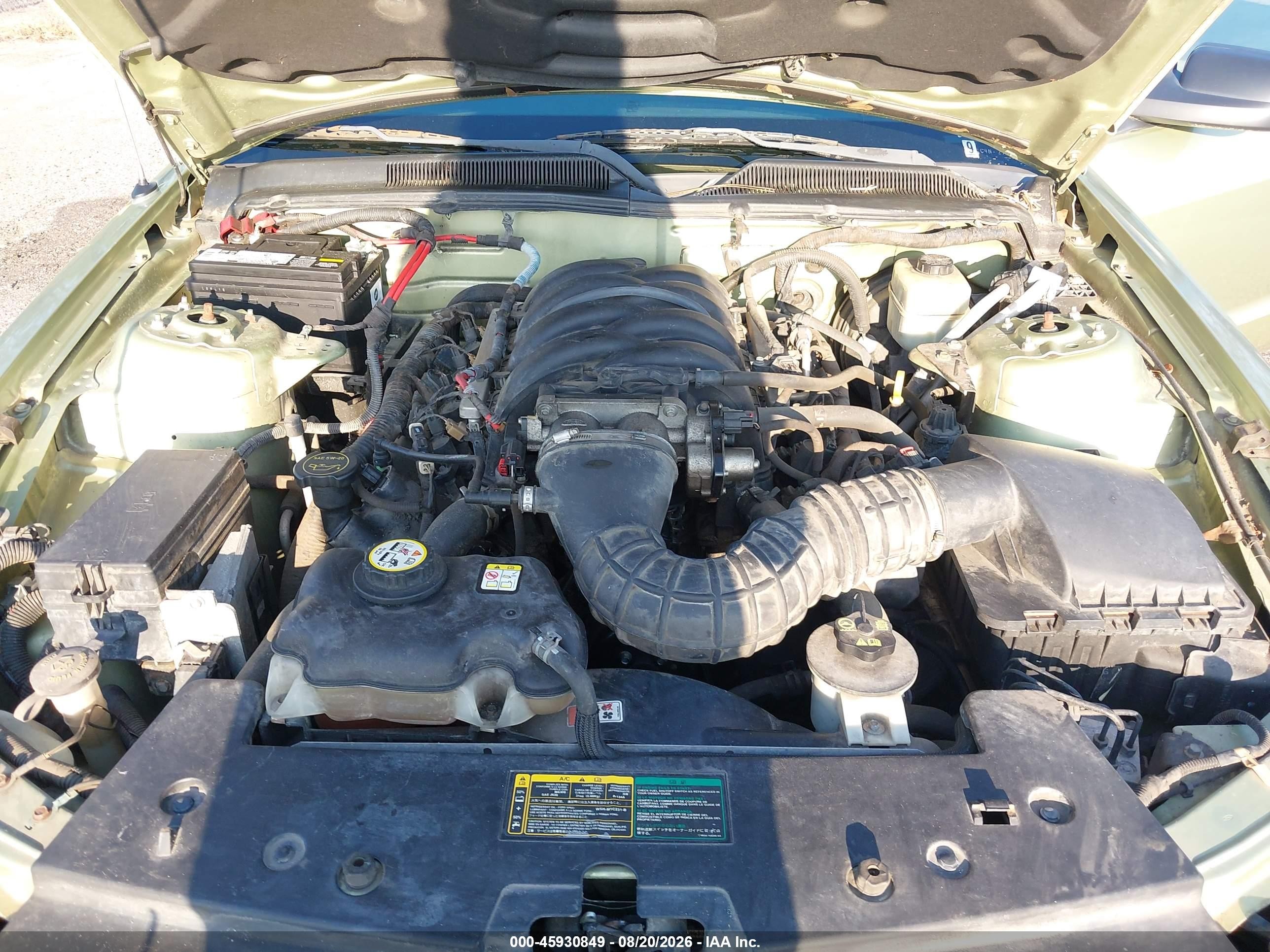 2006 Ford Mustang Gt Green vin: 1ZVFT82H465228370