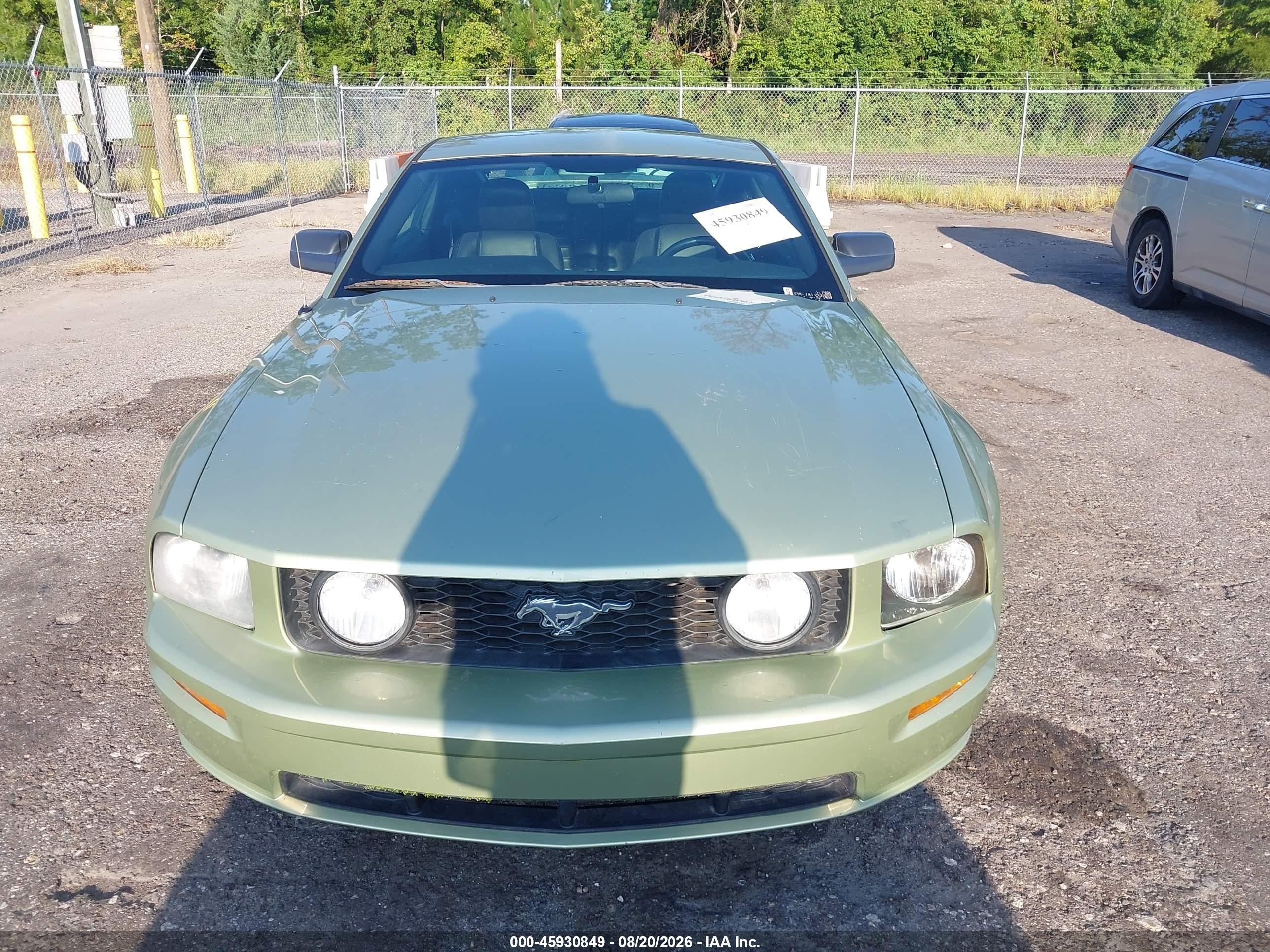 2006 Ford Mustang Gt Green vin: 1ZVFT82H465228370