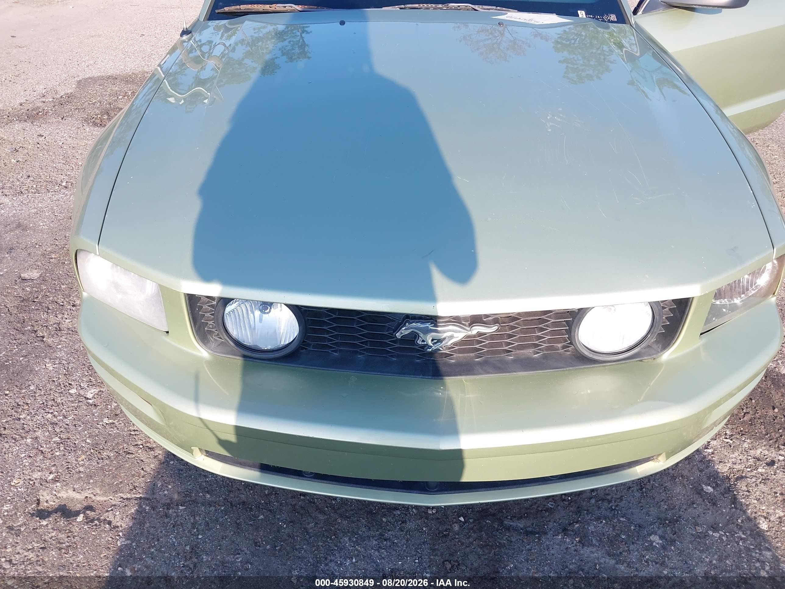 2006 Ford Mustang Gt Green vin: 1ZVFT82H465228370