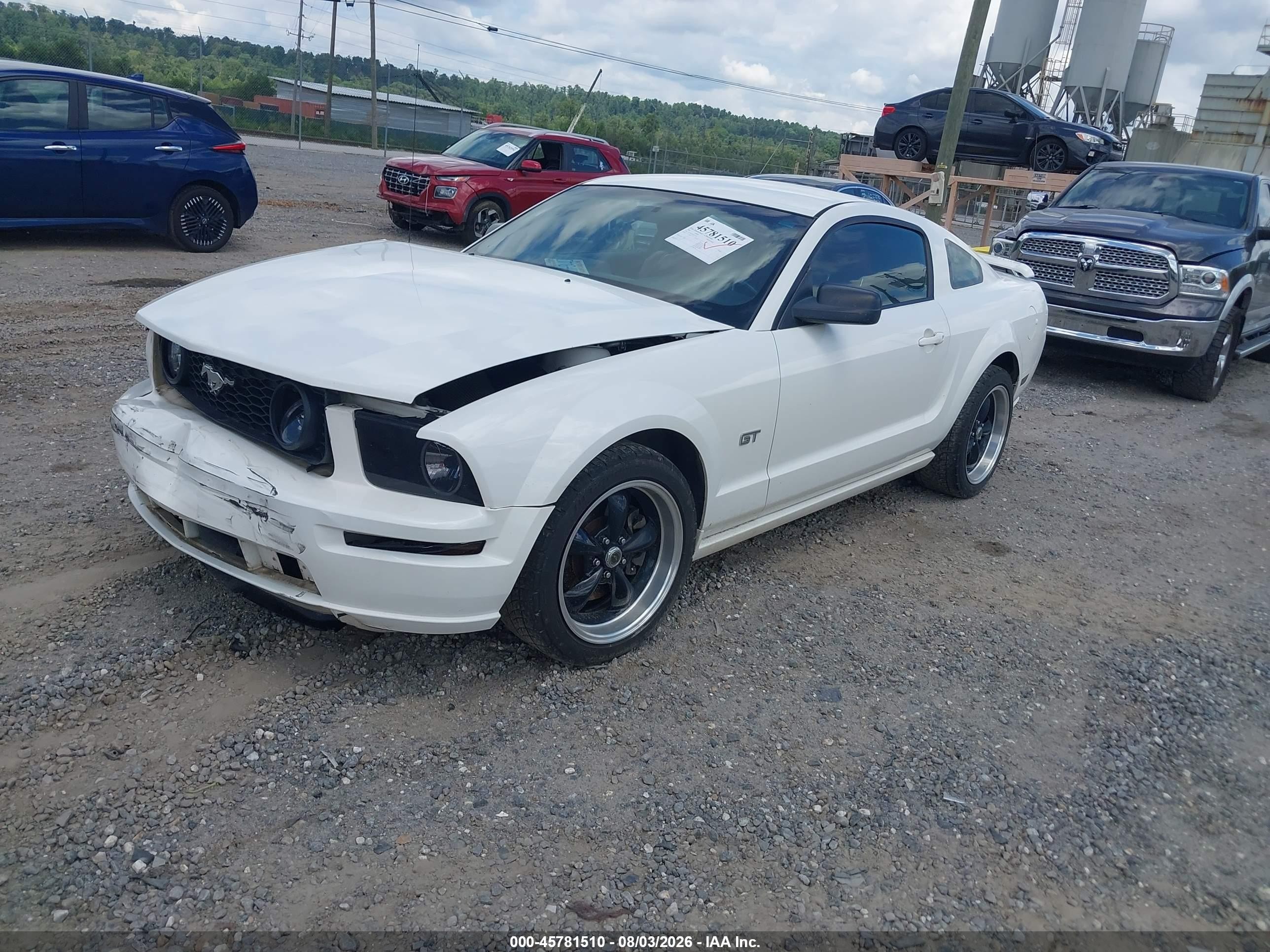 2006 Ford Mustang Gt White vin: 1ZVFT82H565179910