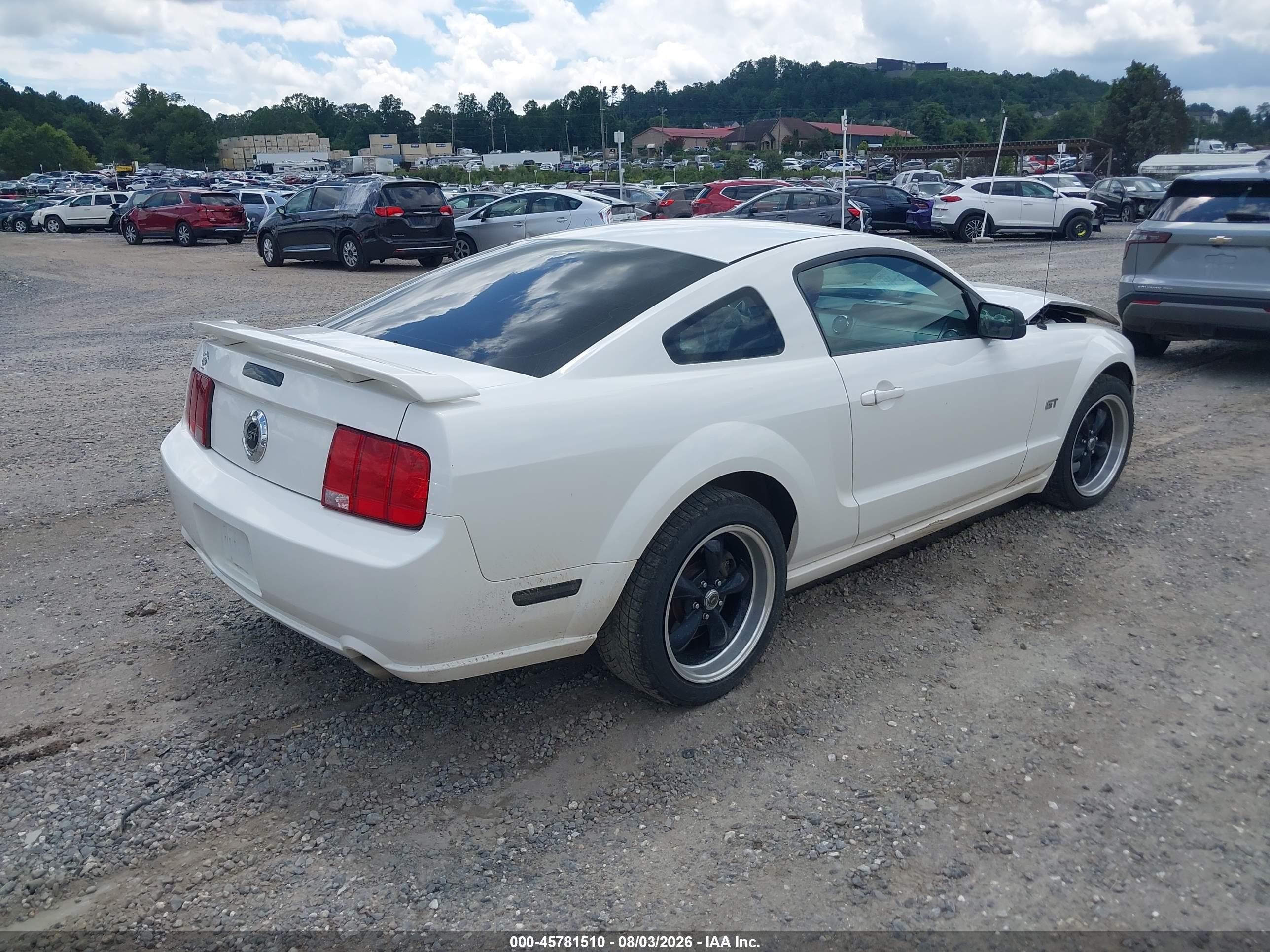 2006 Ford Mustang Gt White vin: 1ZVFT82H565179910