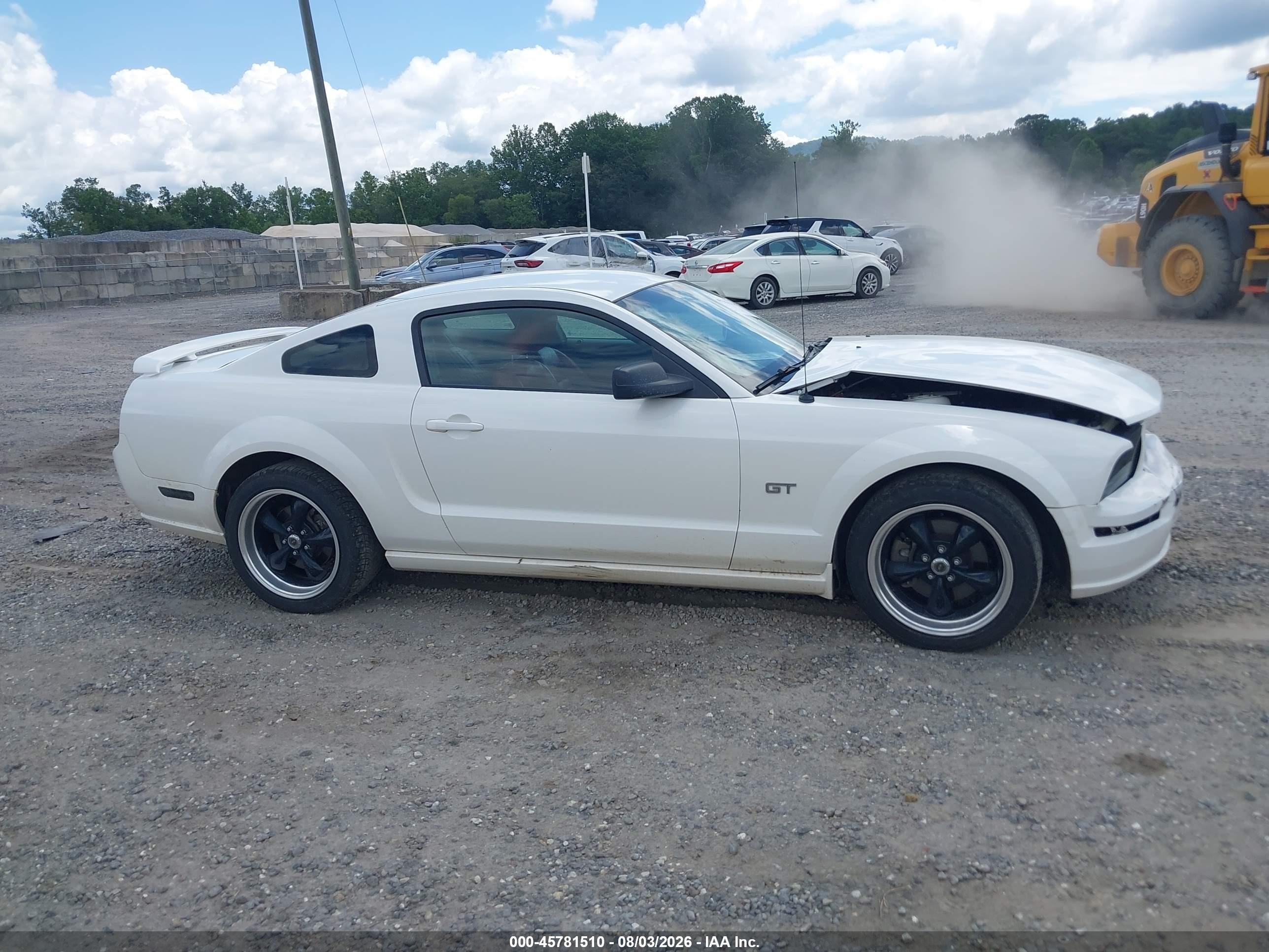 2006 Ford Mustang Gt White vin: 1ZVFT82H565179910