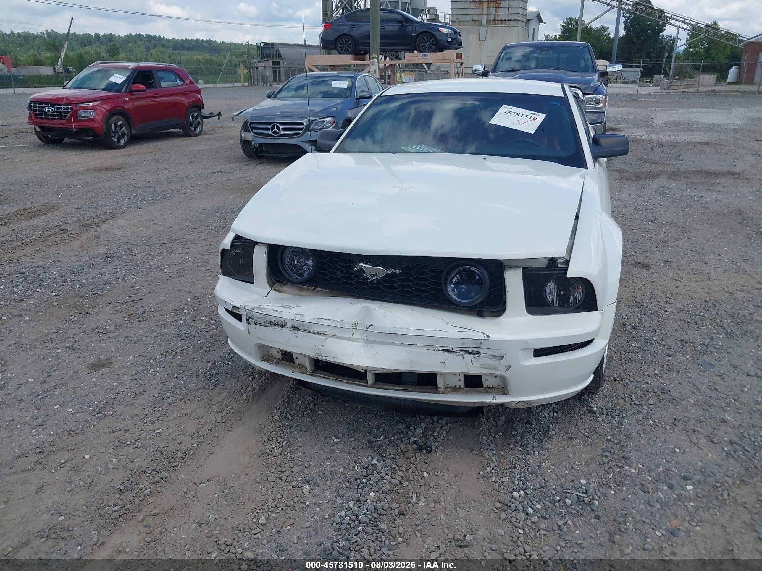 2006 Ford Mustang Gt White vin: 1ZVFT82H565179910