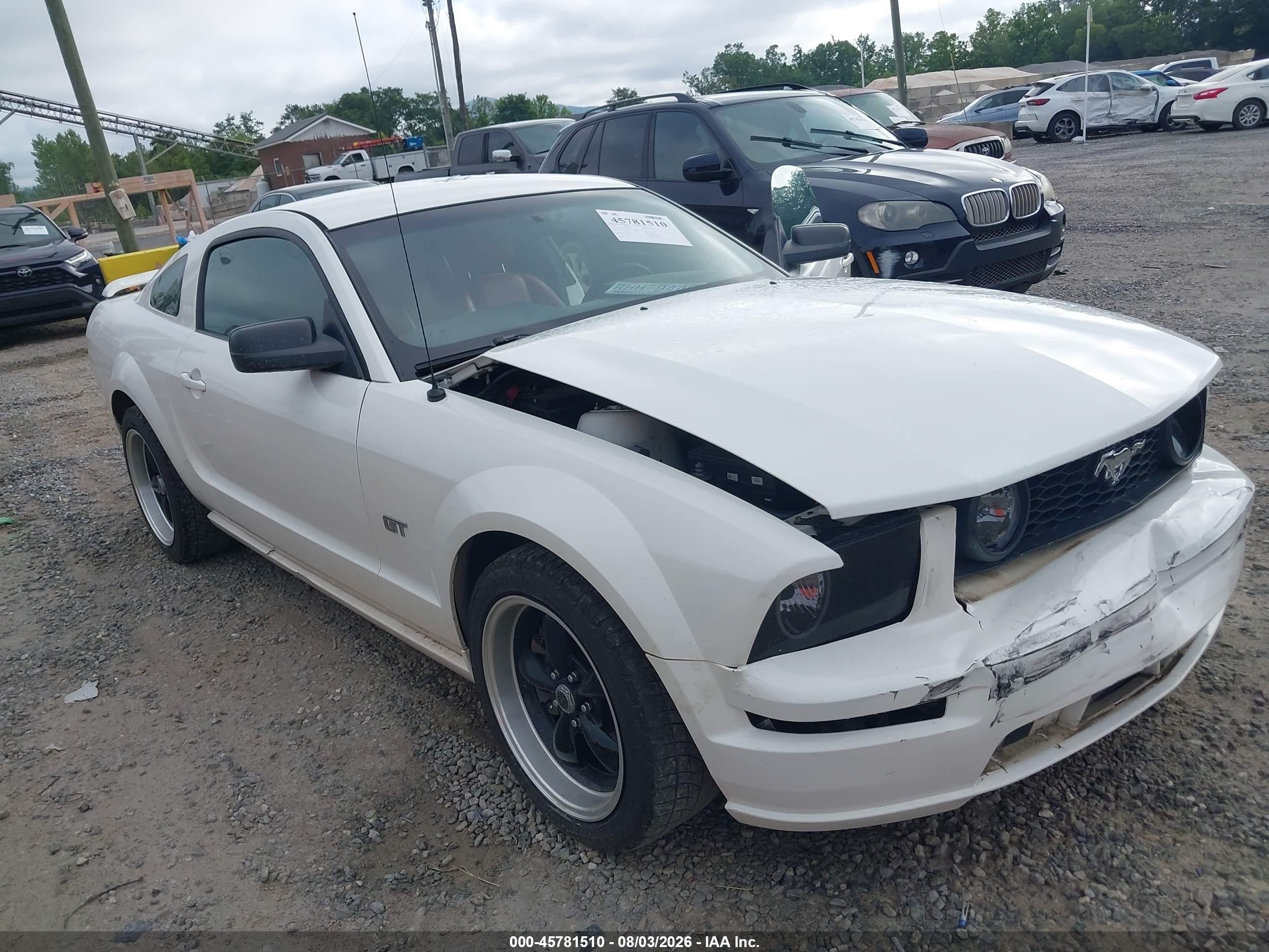 2006 Ford Mustang Gt White vin: 1ZVFT82H565179910