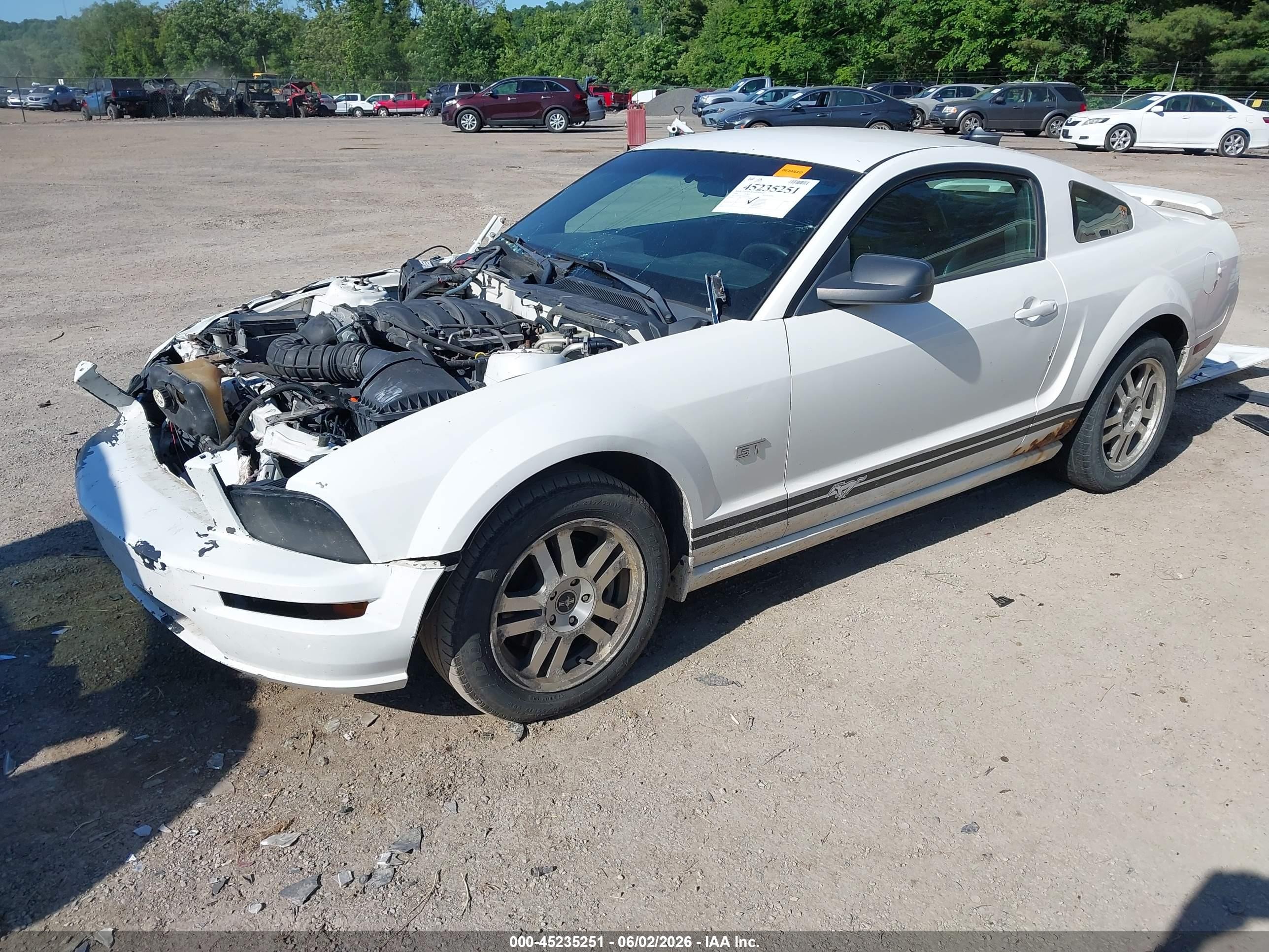 2006 Ford Mustang Gt White vin: 1ZVFT82H565205101