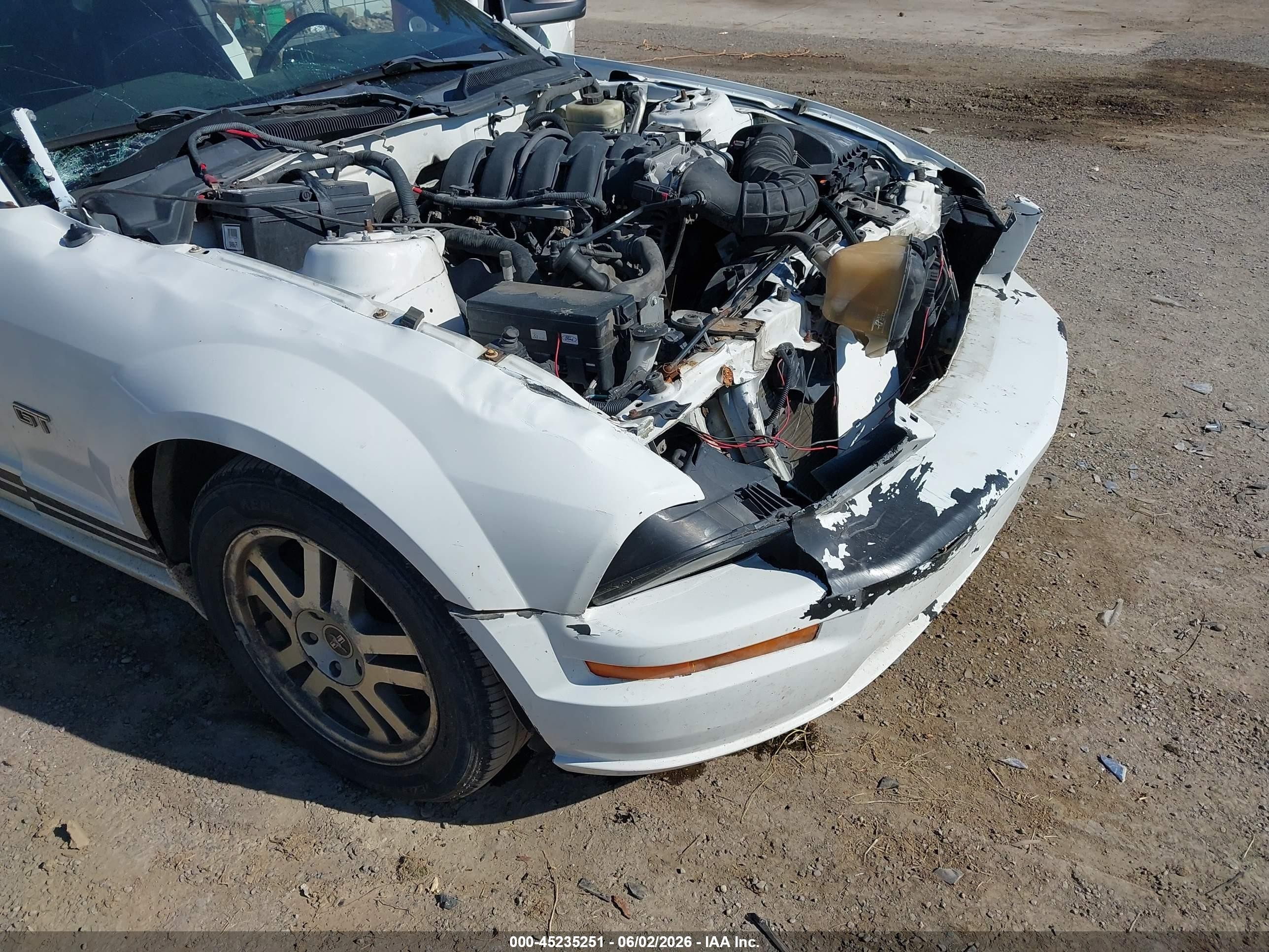 2006 Ford Mustang Gt White vin: 1ZVFT82H565205101