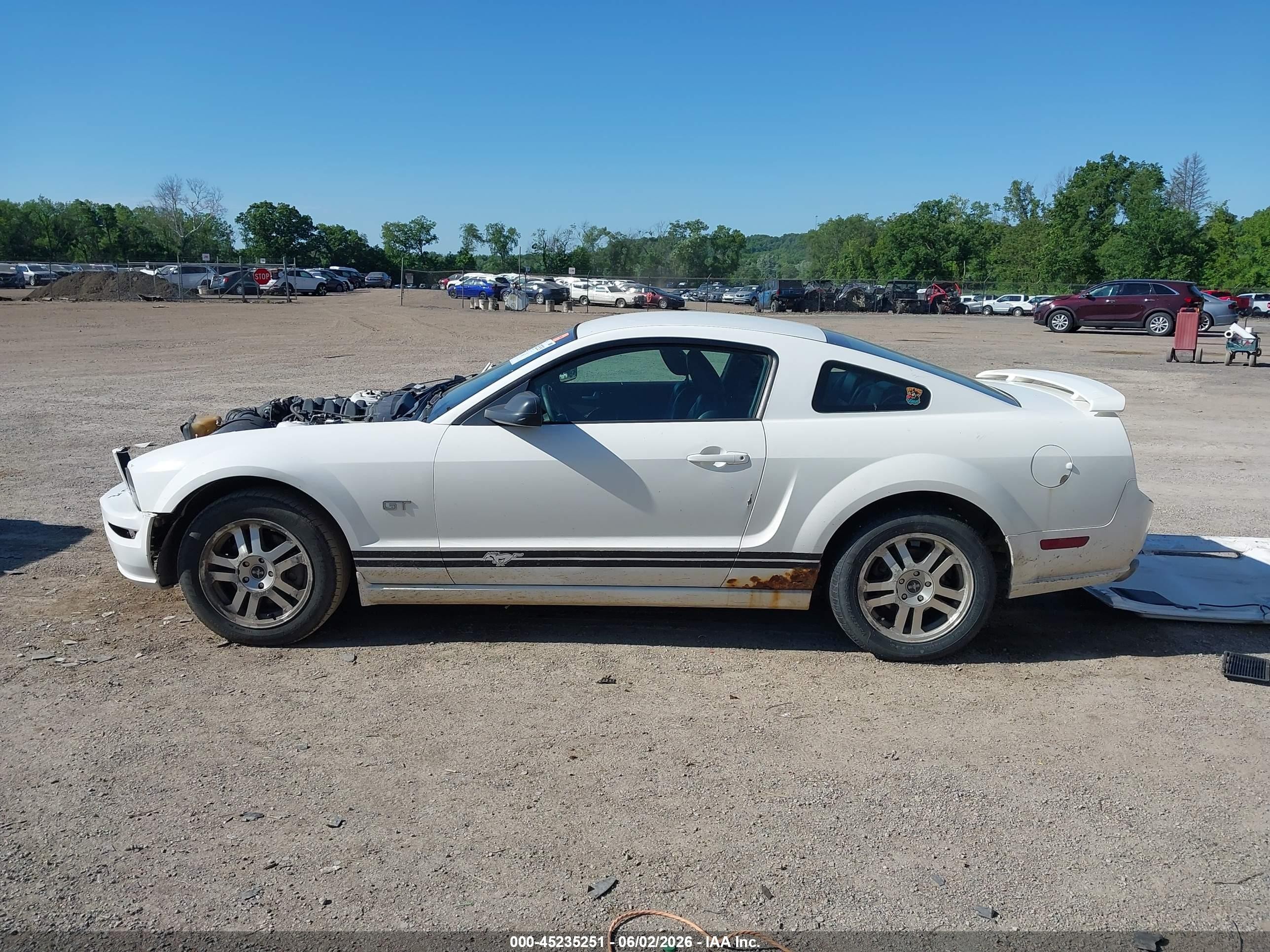 2006 Ford Mustang Gt White vin: 1ZVFT82H565205101