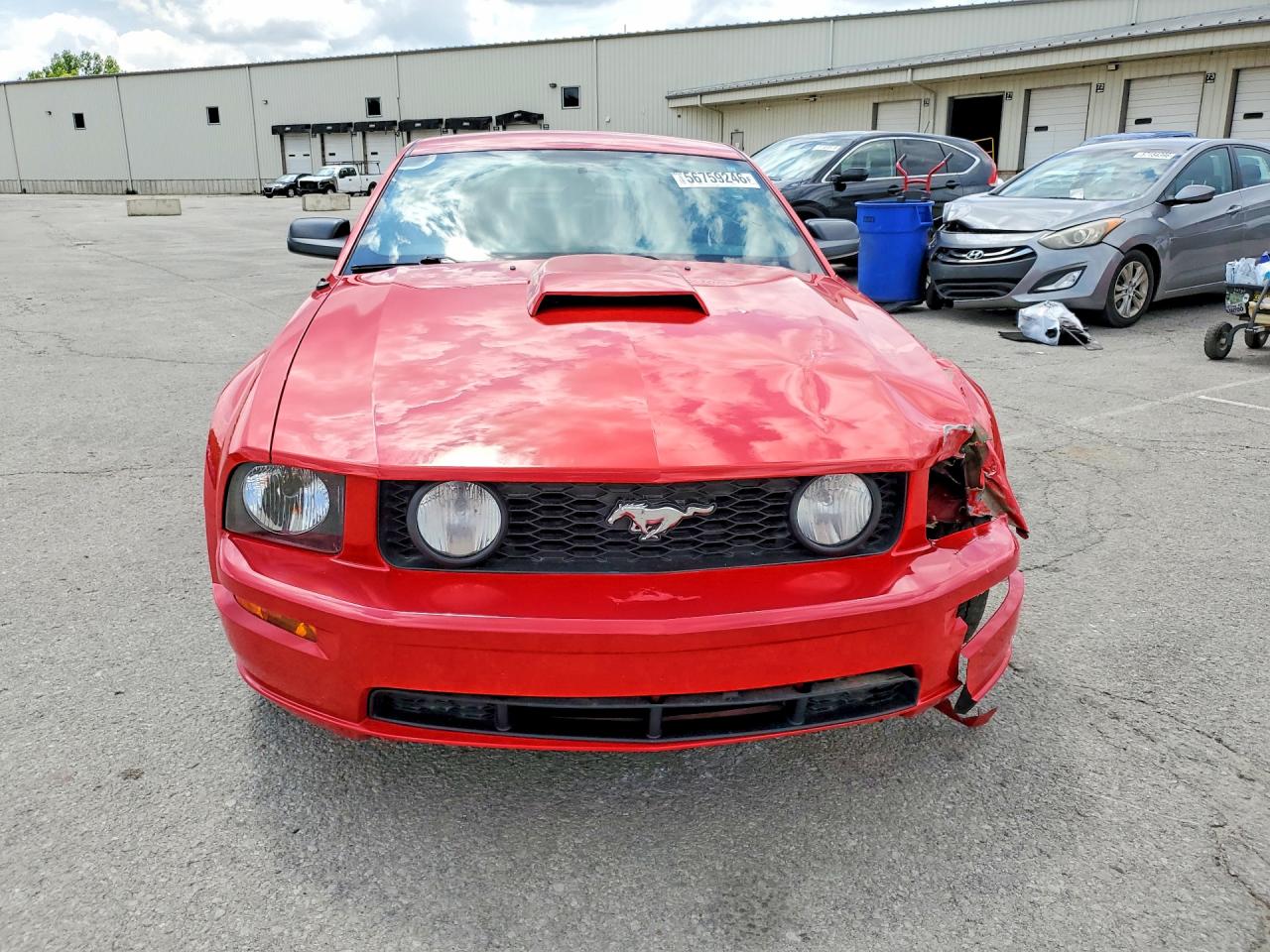 2006 Ford Mustang Gt Red vin: 1ZVFT82H565212730