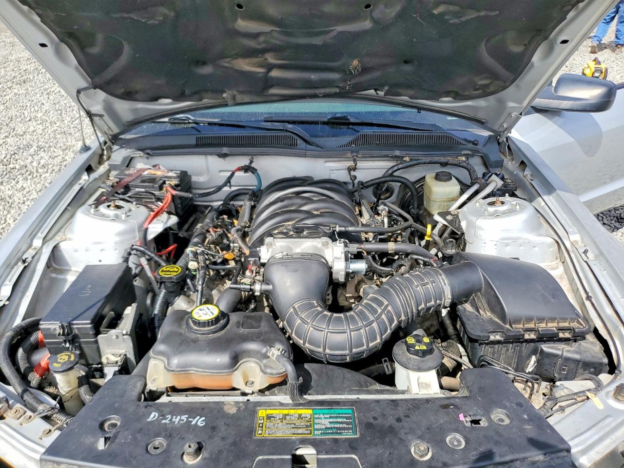 2006 Ford Mustang Gt Gray vin: 1ZVFT82H565223534