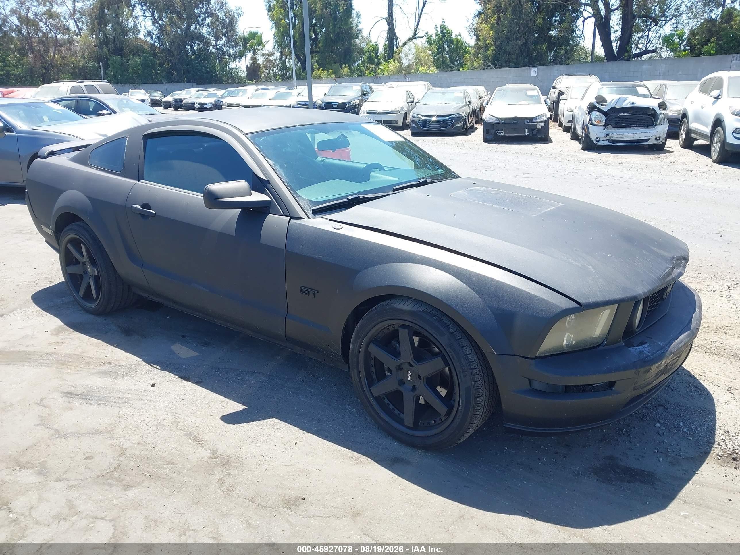 2006 Ford Mustang Gt Black vin: 1ZVFT82H565264617