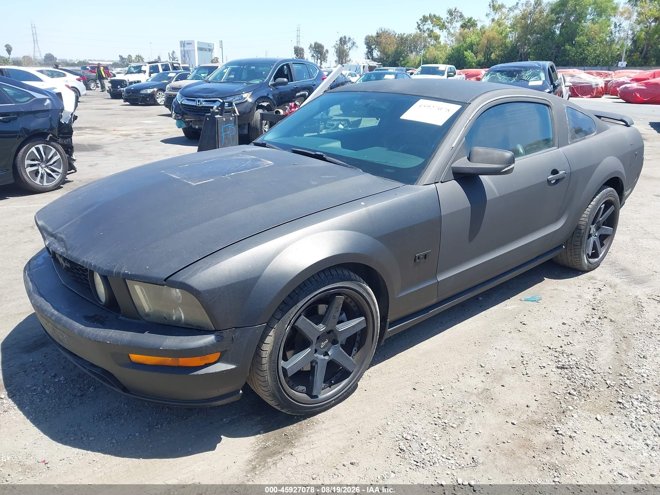 2006 Ford Mustang Gt Black vin: 1ZVFT82H565264617