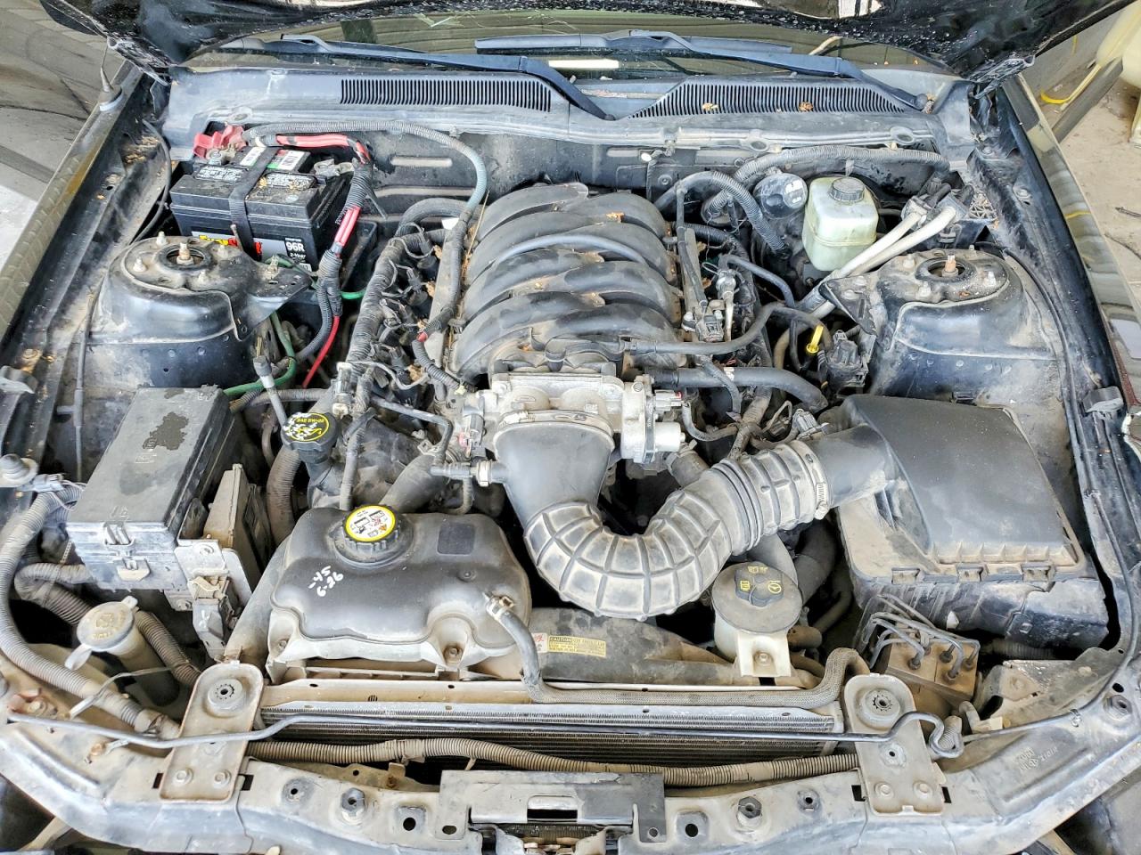 2005 Ford Mustang Gt Черный vin: 1ZVFT82H655158739