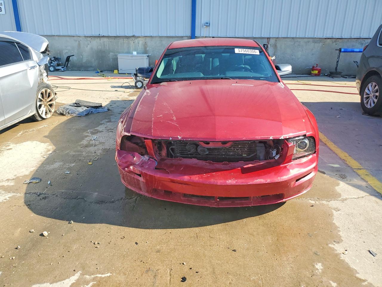 2005 Ford Mustang Gt Красный vin: 1ZVFT82H655256072