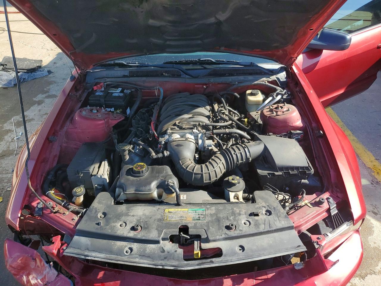 2005 Ford Mustang Gt Красный vin: 1ZVFT82H655256072