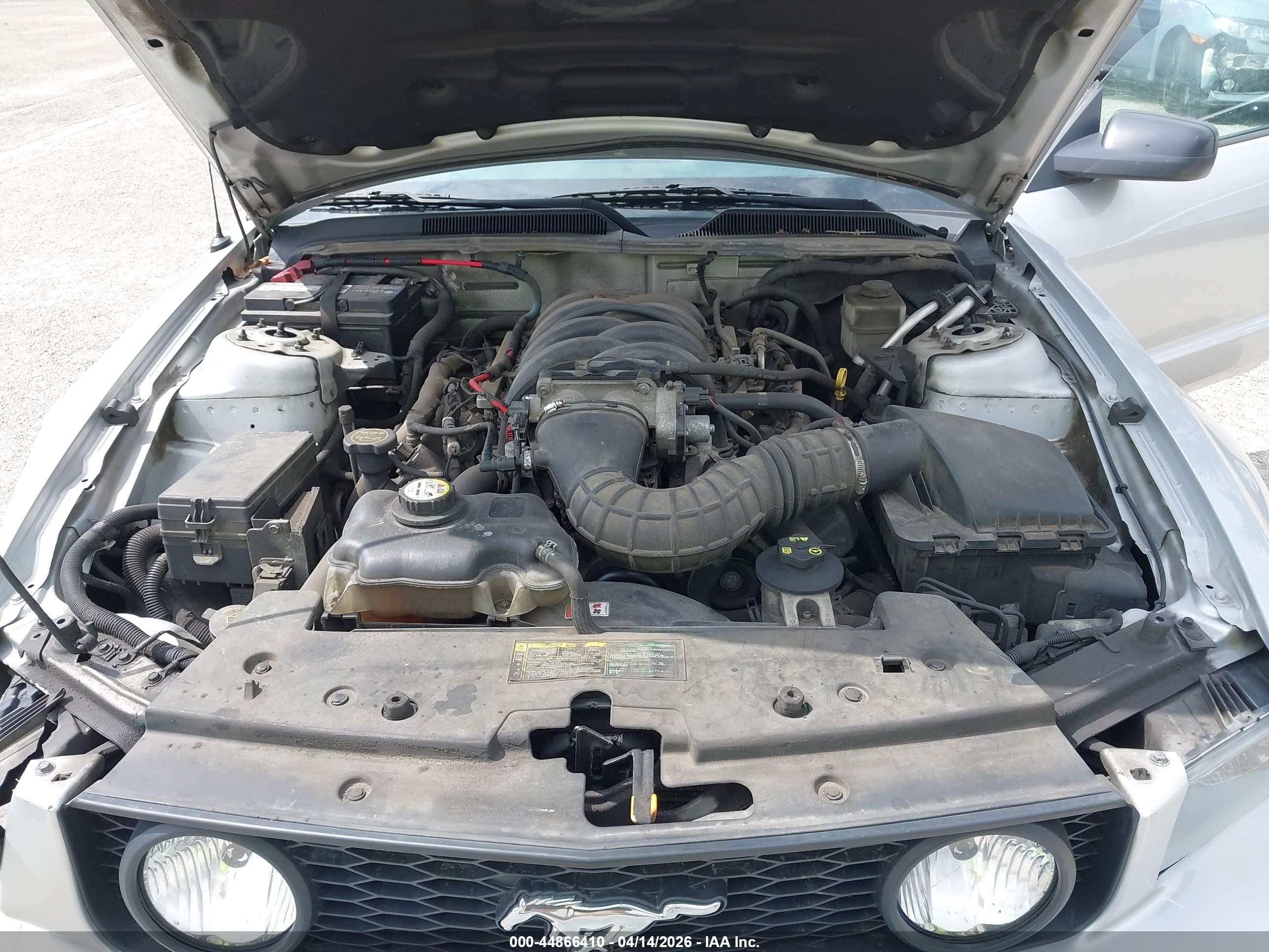 2006 Ford Mustang Gt Silver vin: 1ZVFT82H665142638