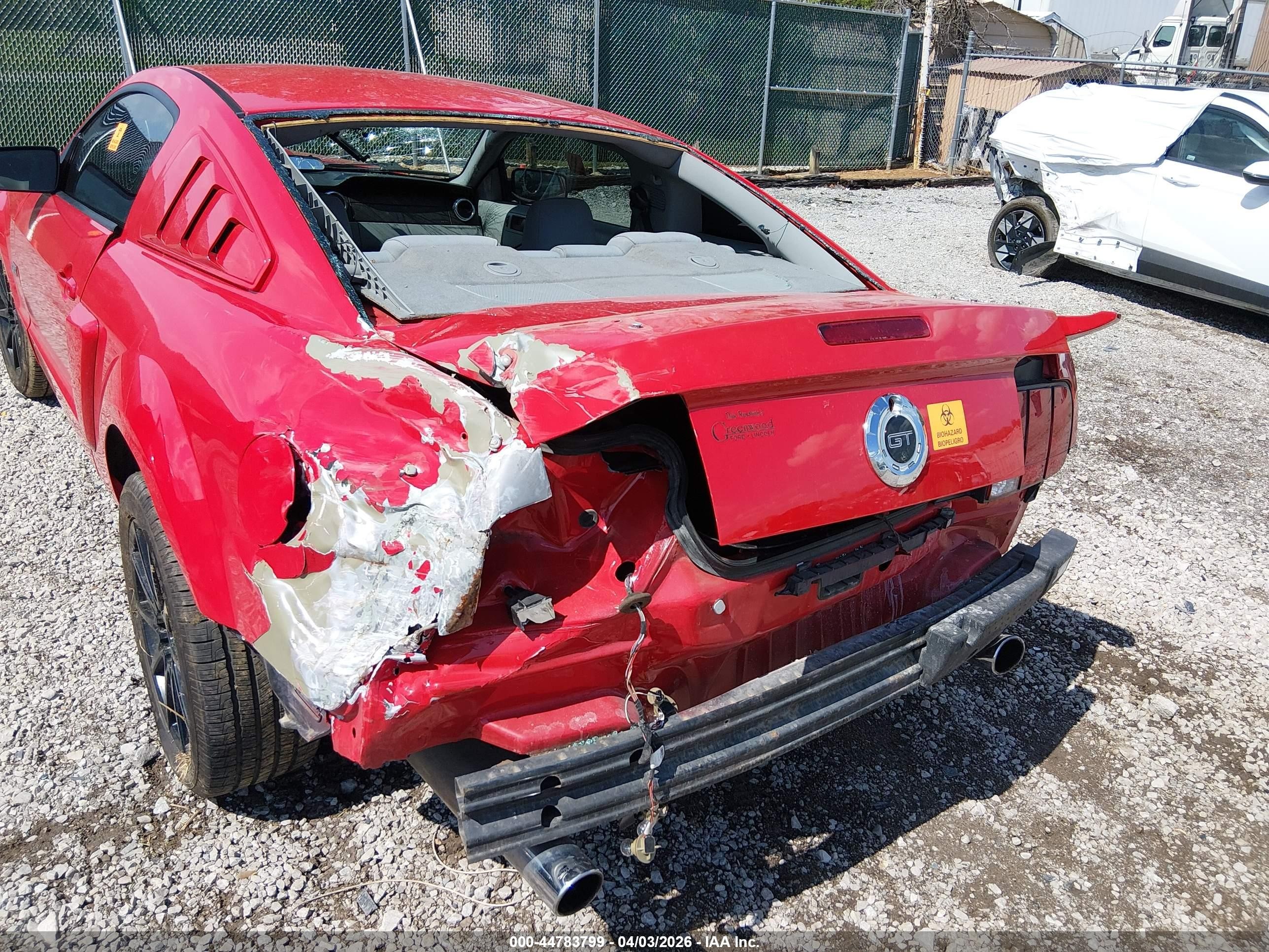2006 Ford Mustang Gt Red vin: 1ZVFT82H665223509