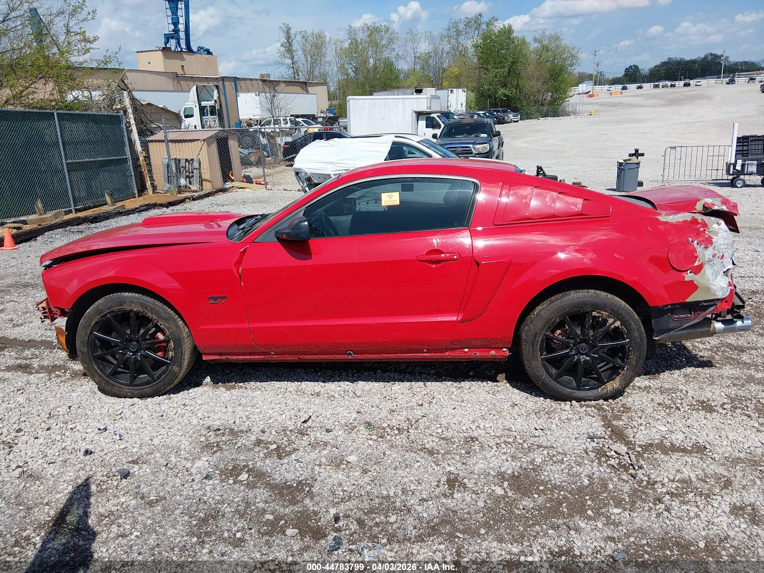 2006 Ford Mustang Gt Red vin: 1ZVFT82H665223509