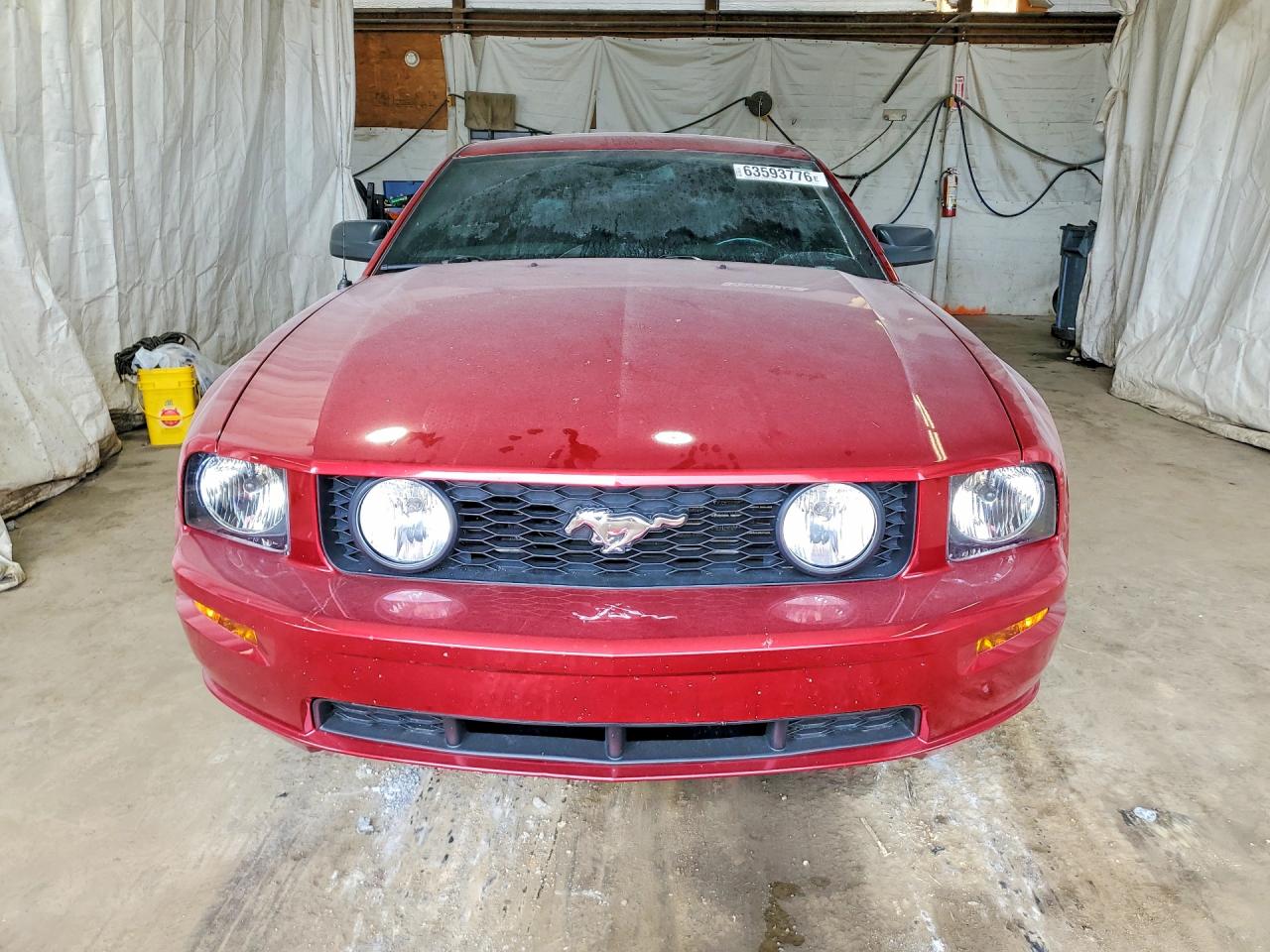 2006 Ford Mustang Gt Красный vin: 1ZVFT82H665266327