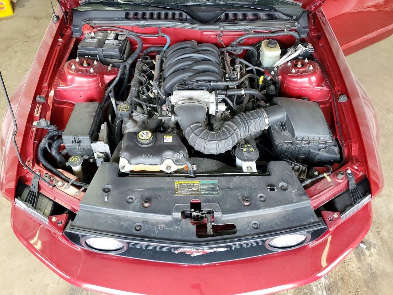 2006 Ford Mustang Gt Красный vin: 1ZVFT82H665266327