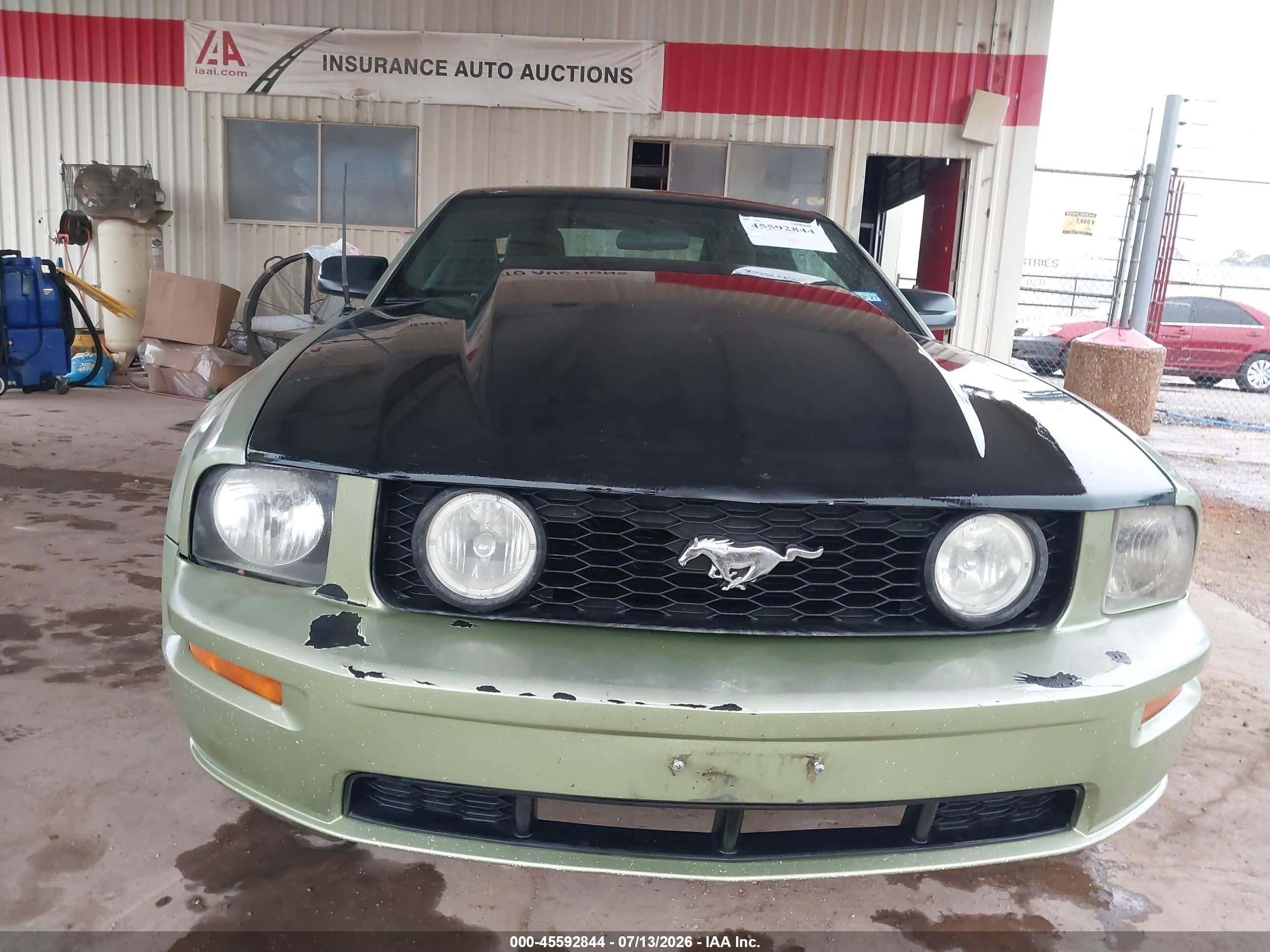 2006 Ford Mustang Gt Green vin: 1ZVFT82H765264165
