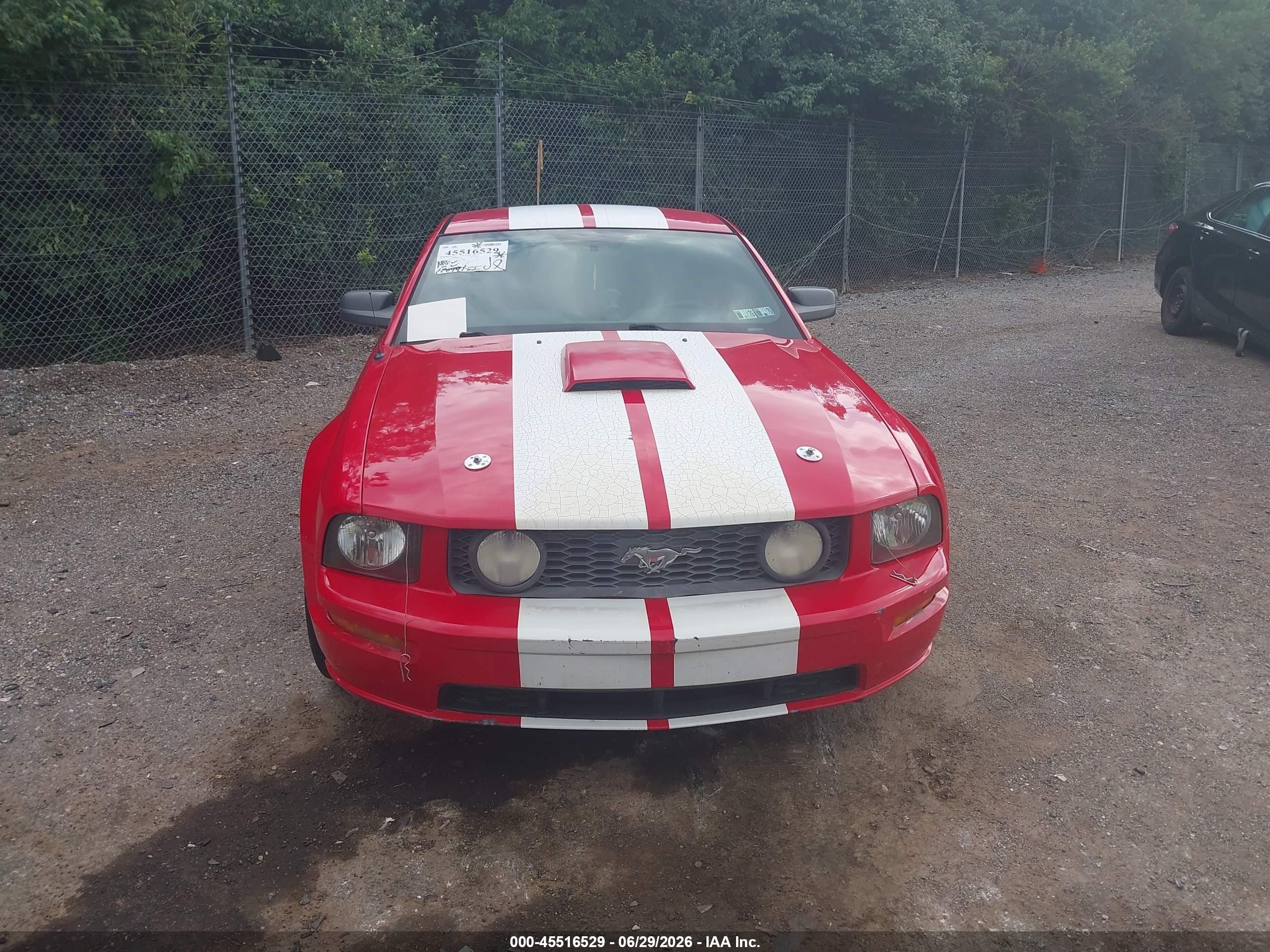2007 Ford Mustang Gt Deluxe/gt Premium Red vin: 1ZVFT82H775233516