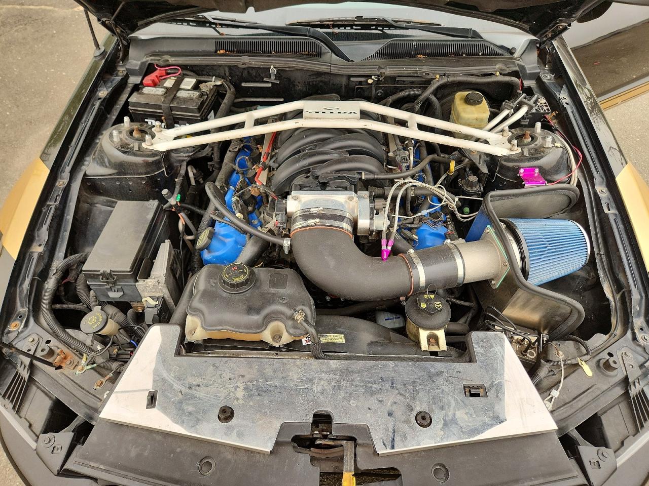 2005 Ford Mustang Gt Черный vin: 1ZVFT82H855241511