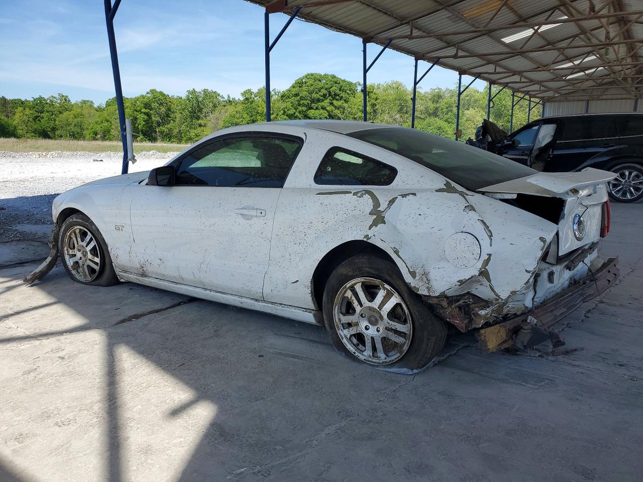 2005 Ford Mustang Gt White vin: 1ZVFT82H955142521