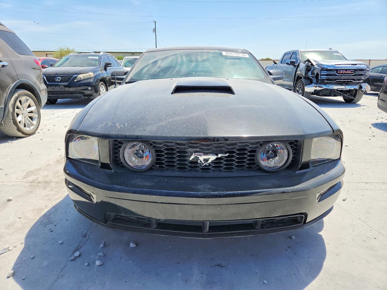 2005 Ford Mustang Gt Black vin: 1ZVFT82H955253926