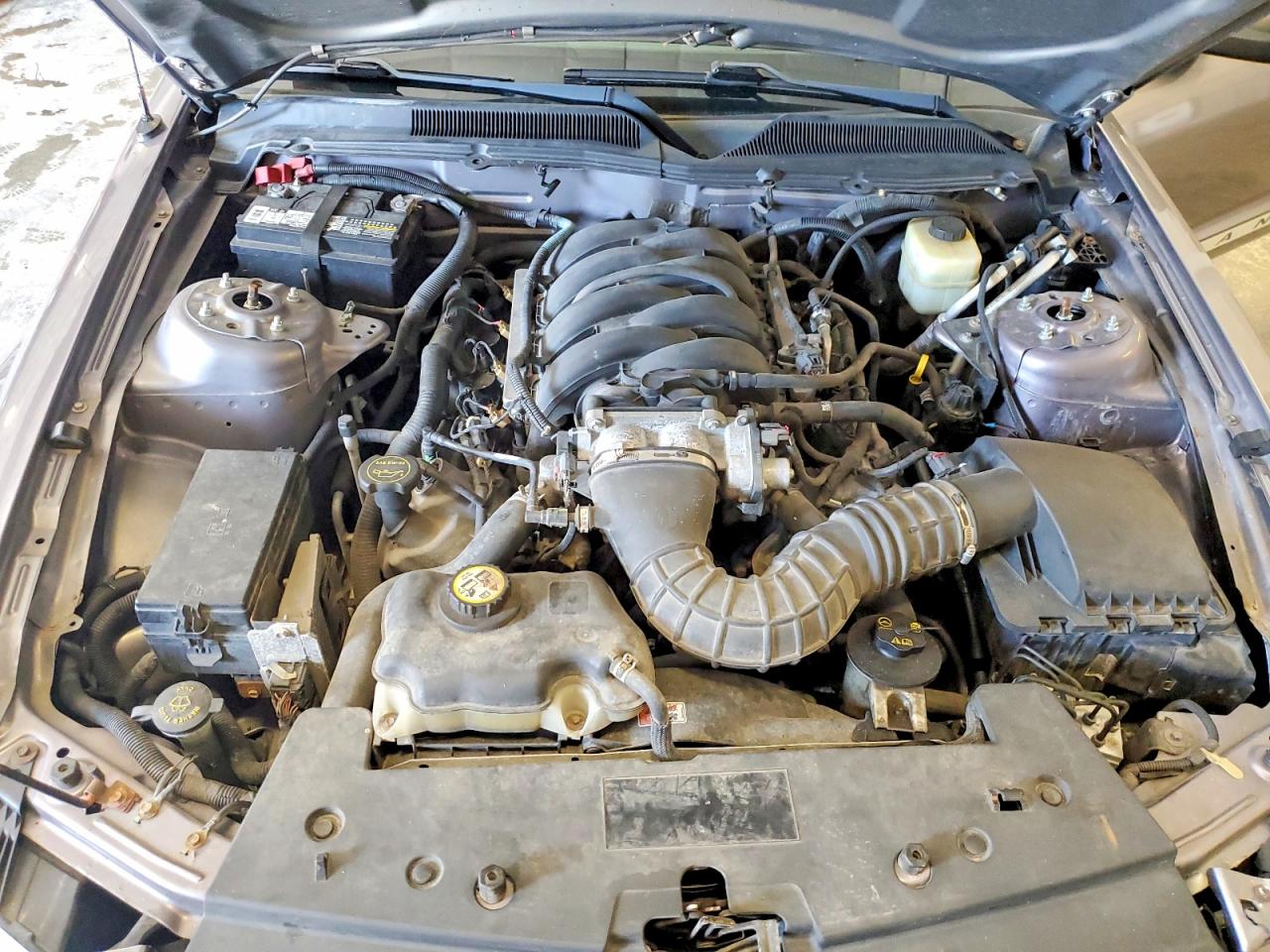 2006 Ford Mustang Gt Gray vin: 1ZVFT82H965200855