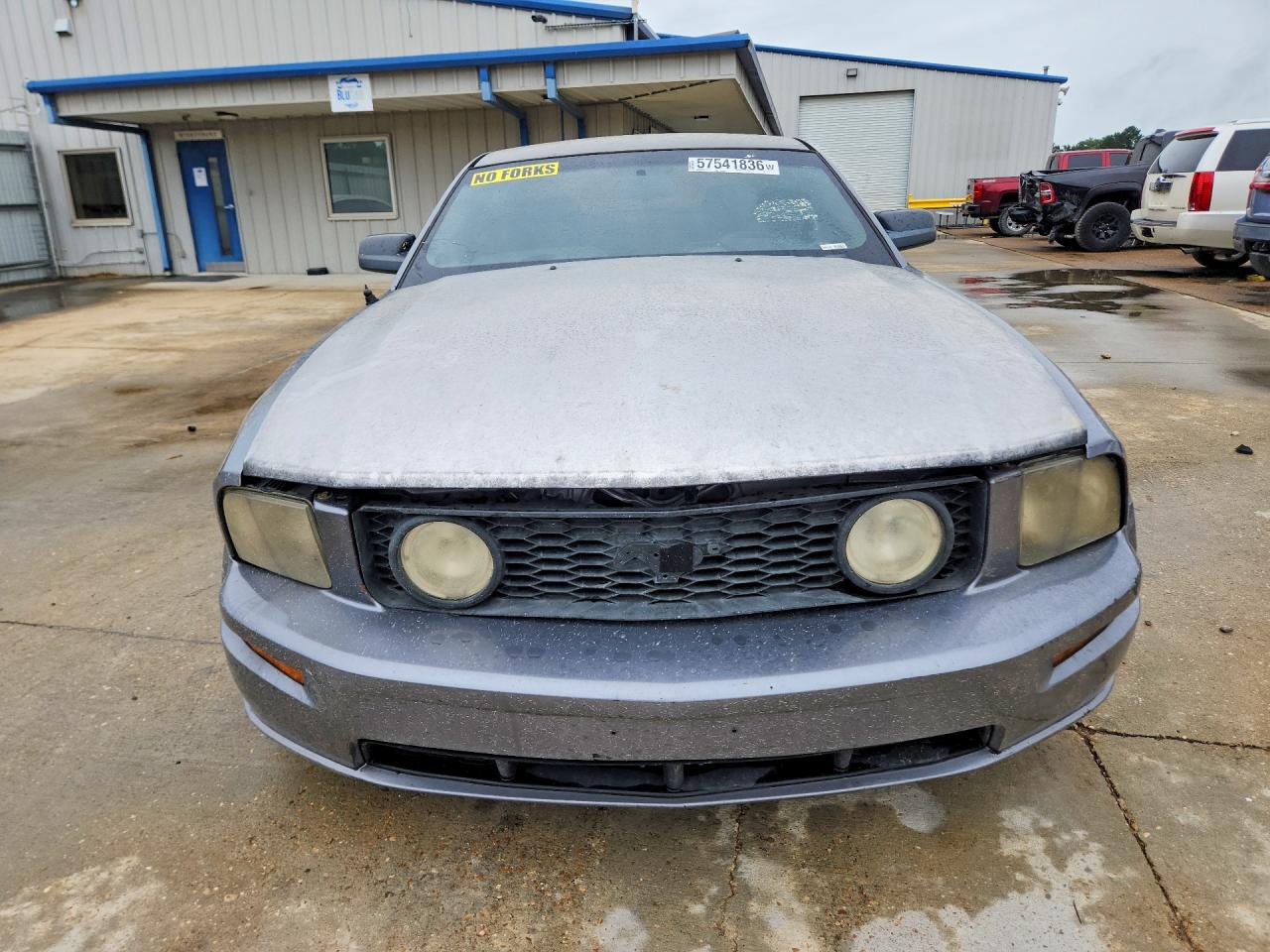 2006 Ford Mustang Gt Gray vin: 1ZVFT82H965227067