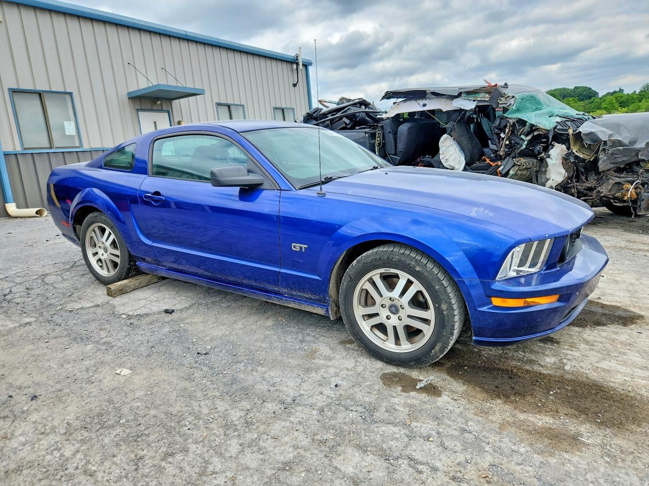 2005 Ford Mustang Gt Синий vin: 1ZVFT82HX55196118