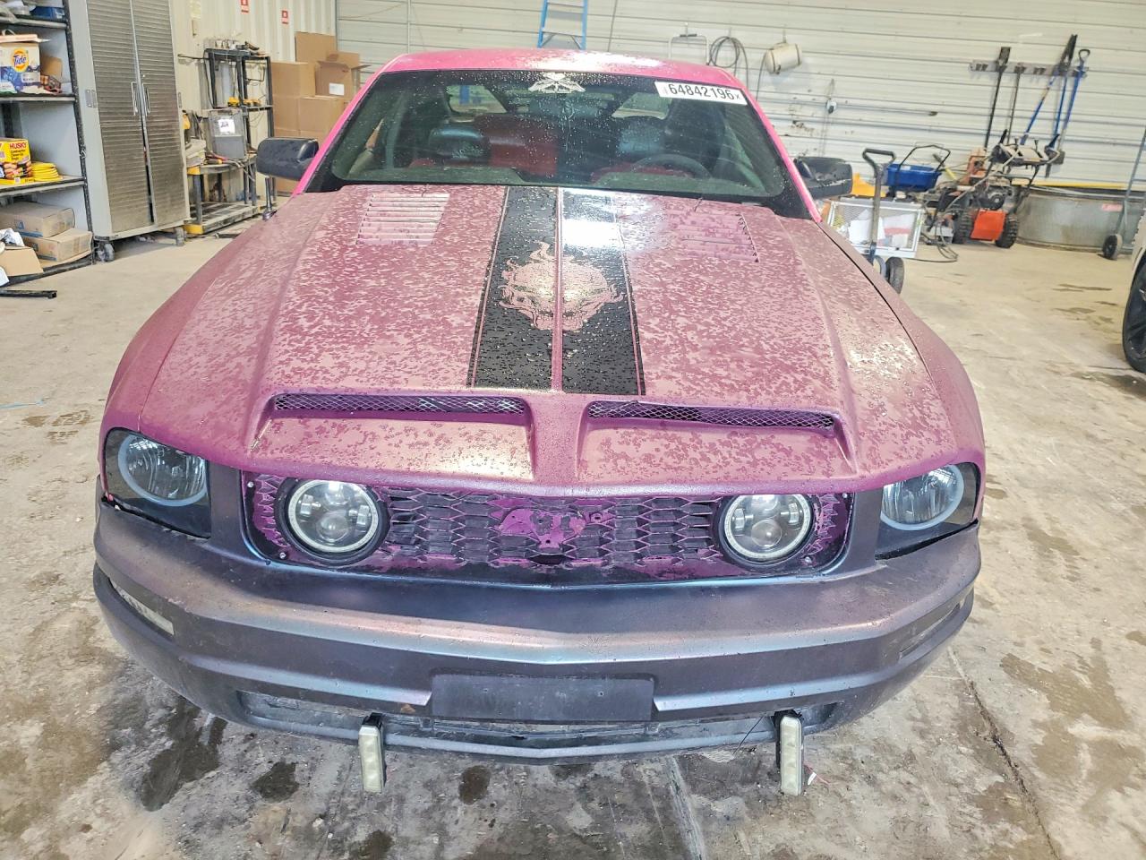 2006 Ford Mustang Gt Pink vin: 1ZVFT82HX65250986