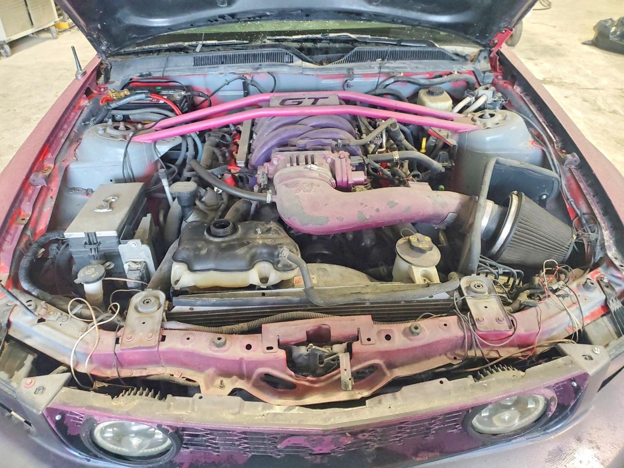 2006 Ford Mustang Gt Pink vin: 1ZVFT82HX65250986