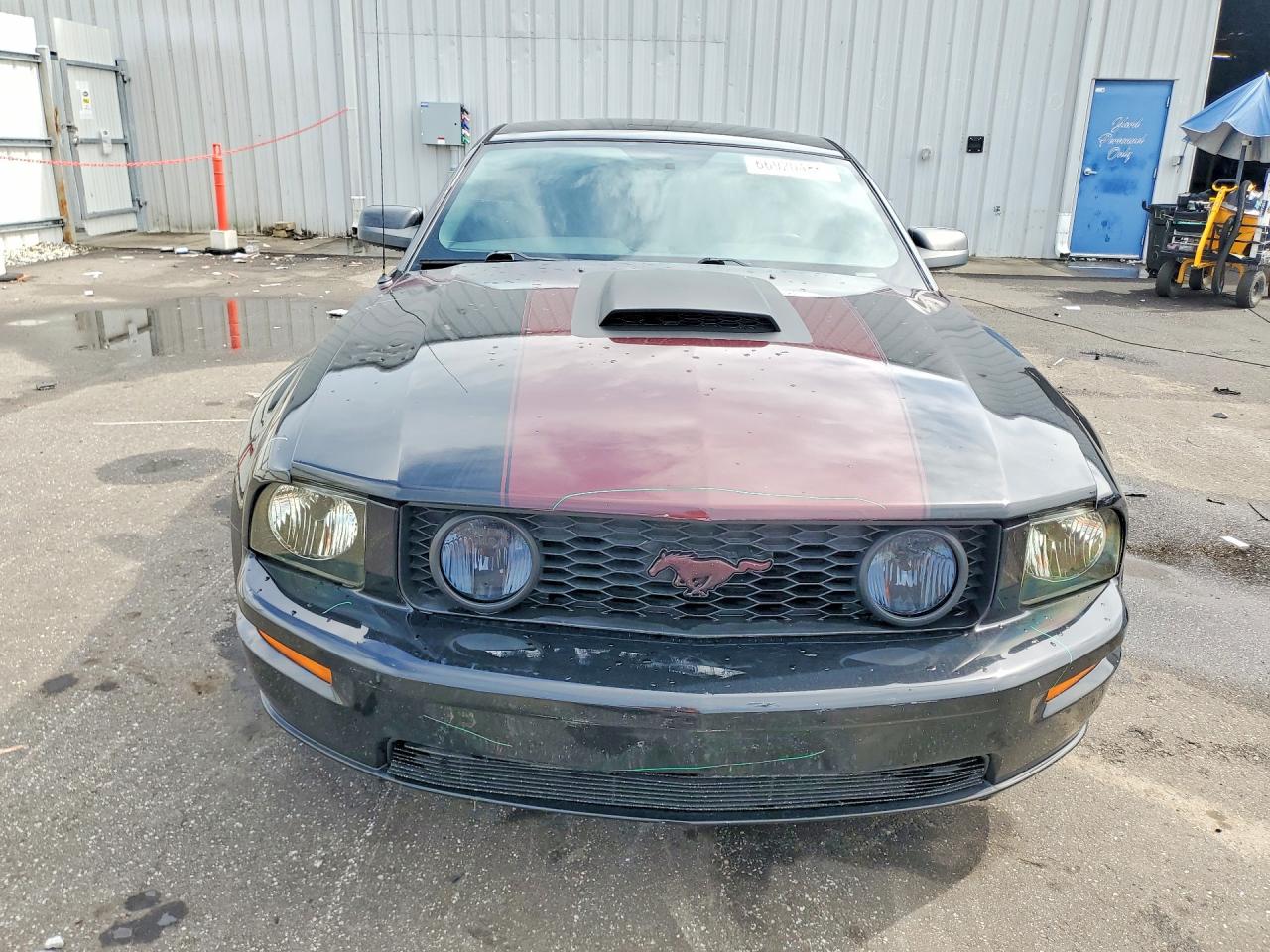 2007 Ford Mustang Gt Black vin: 1ZVFT82HX75234076