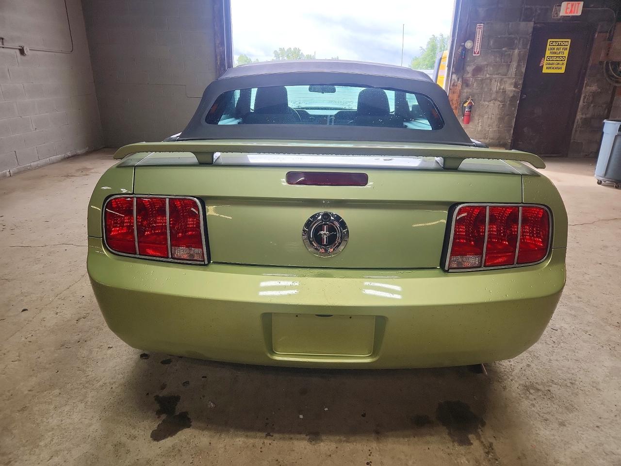 2005 Ford Mustang Green vin: 1ZVFT84N055232403