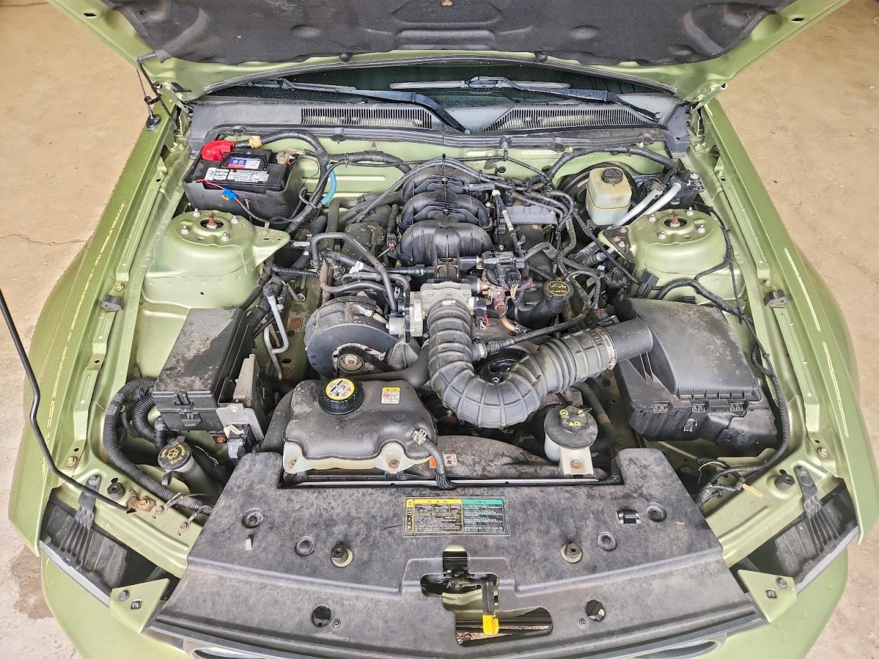 2005 Ford Mustang Green vin: 1ZVFT84N055232403