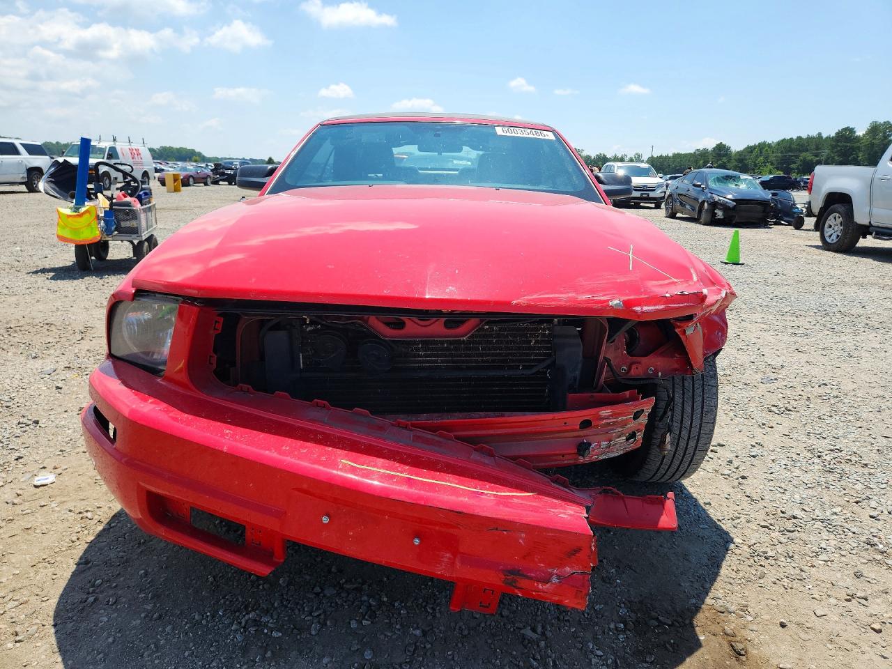 2005 Ford Mustang Red vin: 1ZVFT84N055247161
