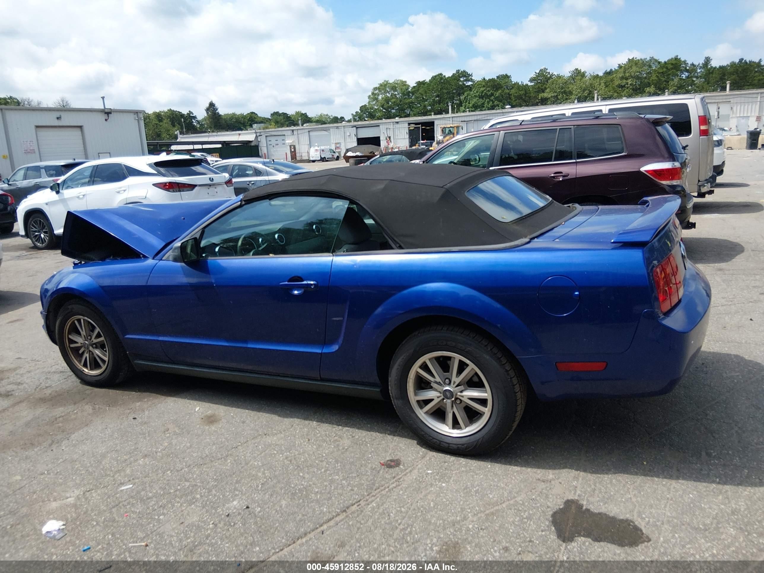 2005 Ford Mustang   Blue vin: 1ZVFT84N055248293