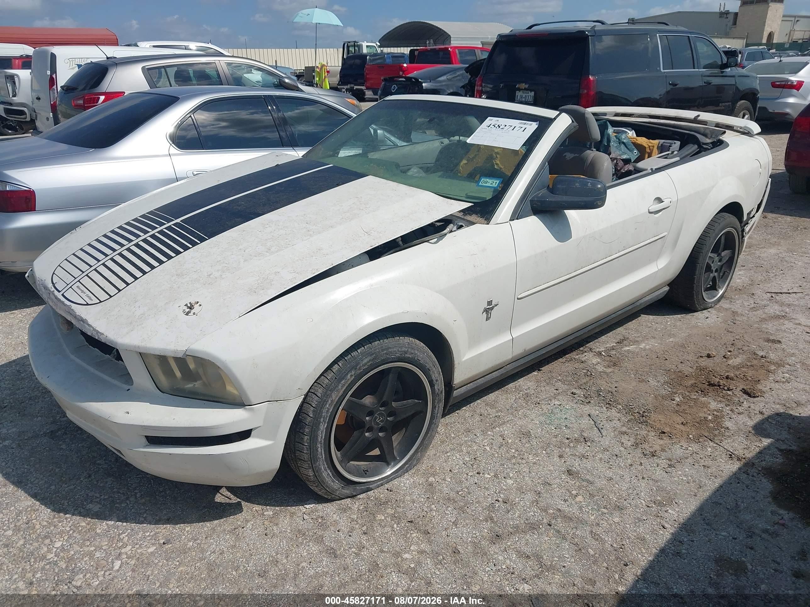 2006 Ford Mustang V6 White vin: 1ZVFT84N065222035
