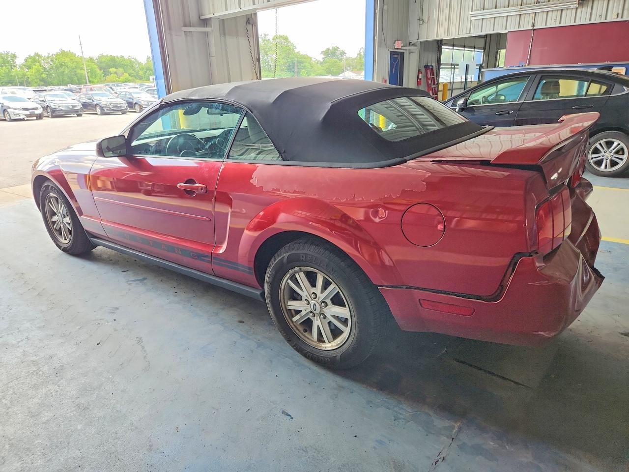 2006 Ford Mustang V6 Convertible Red vin: 1ZVFT84N065224819