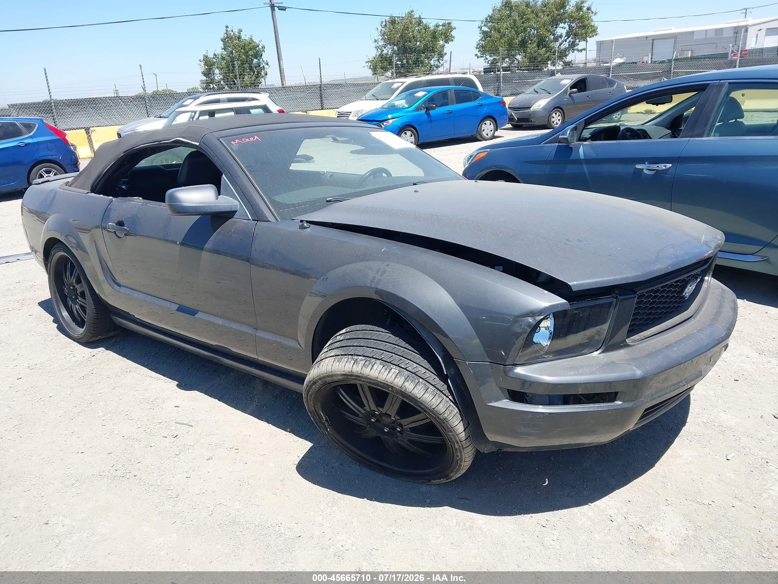 2007 Ford Mustang V6 Deluxe/v6 Premium Black vin: 1ZVFT84N075355069