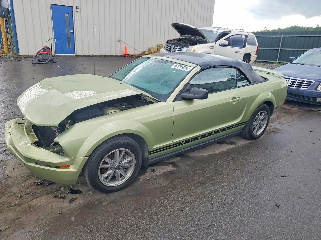 2005 Ford Mustang Green vin: 1ZVFT84N155204058