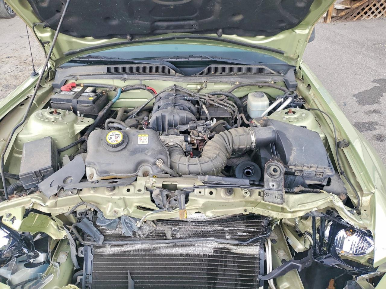 2005 Ford Mustang Green vin: 1ZVFT84N155204058