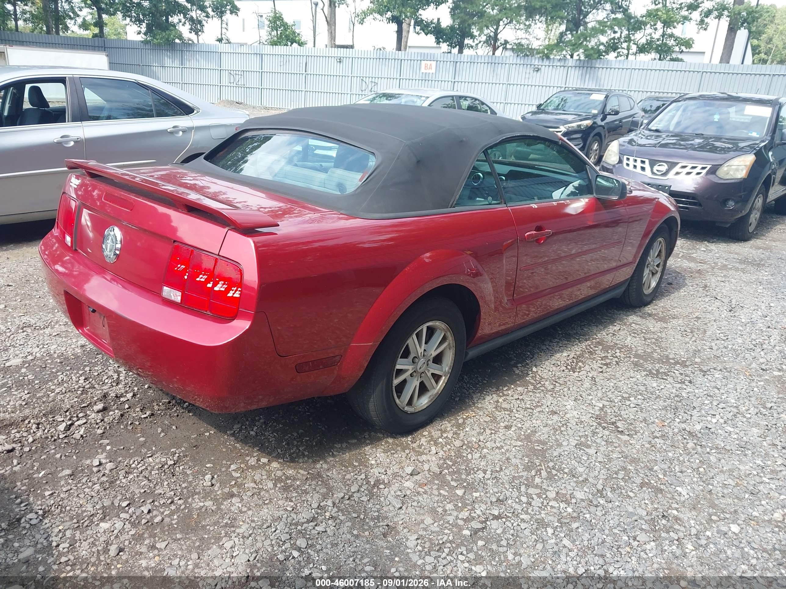 2006 Ford Mustang V6 Красный vin: 1ZVFT84N165188882
