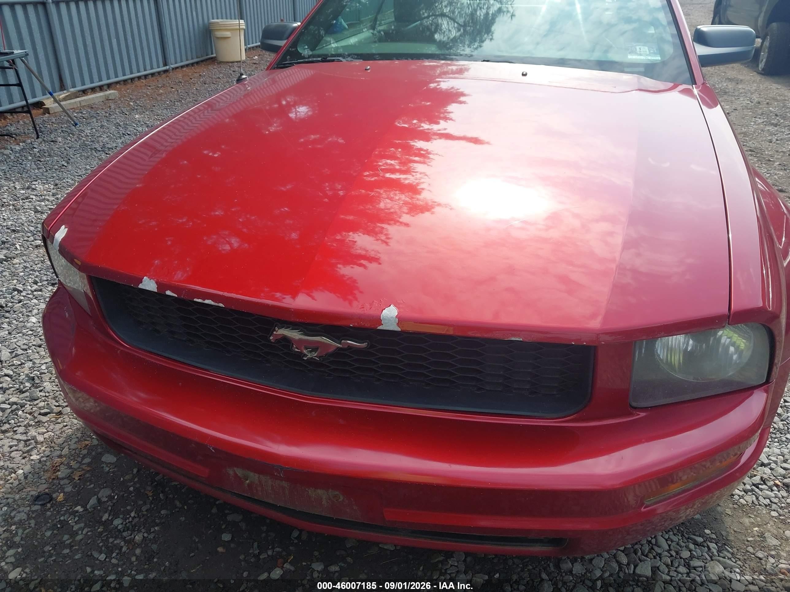 2006 Ford Mustang V6 Красный vin: 1ZVFT84N165188882